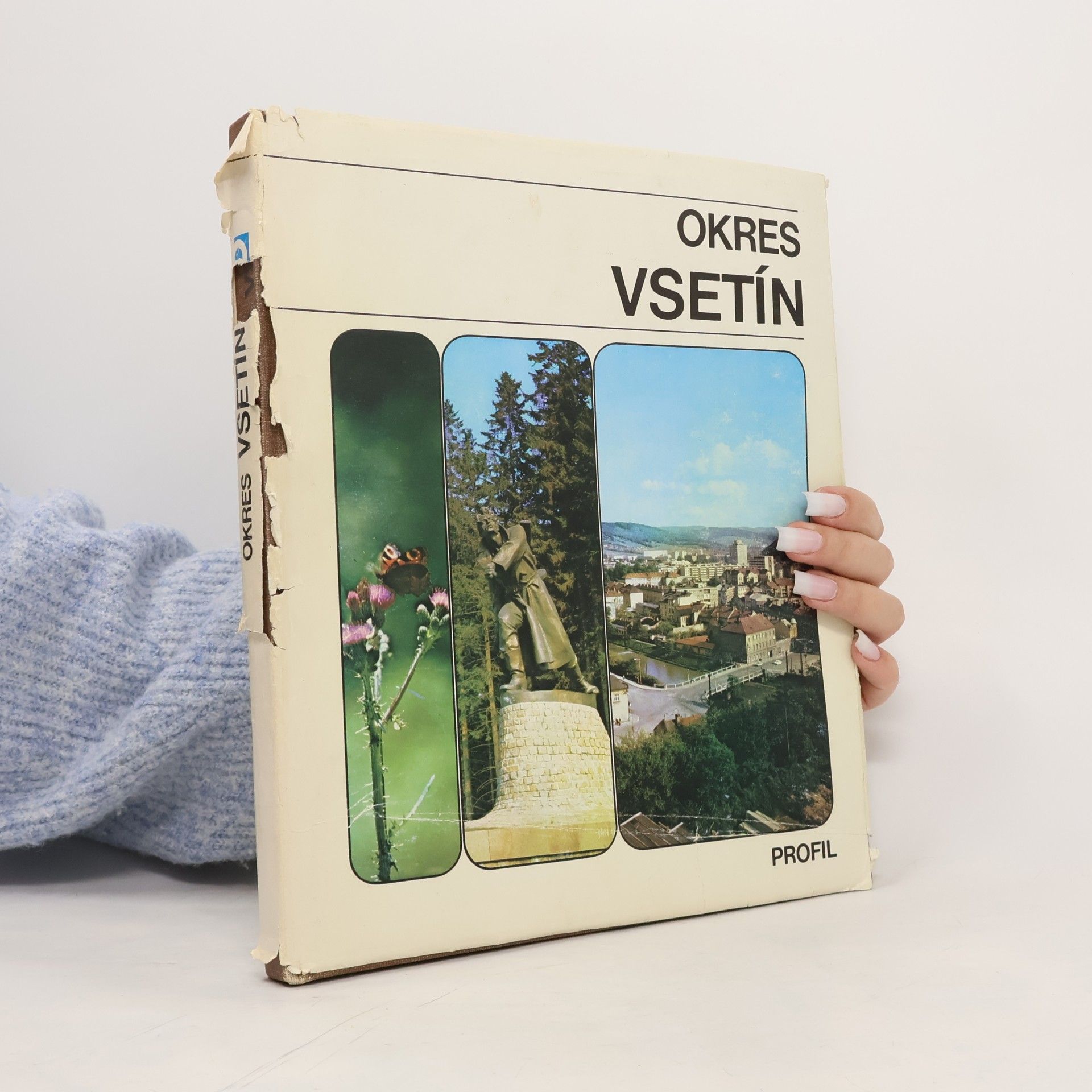 Okres Vsetín