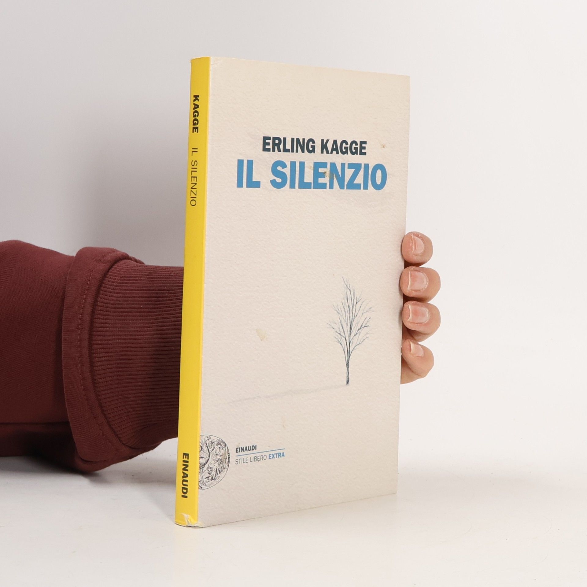 Erling Kagge Il silenzio