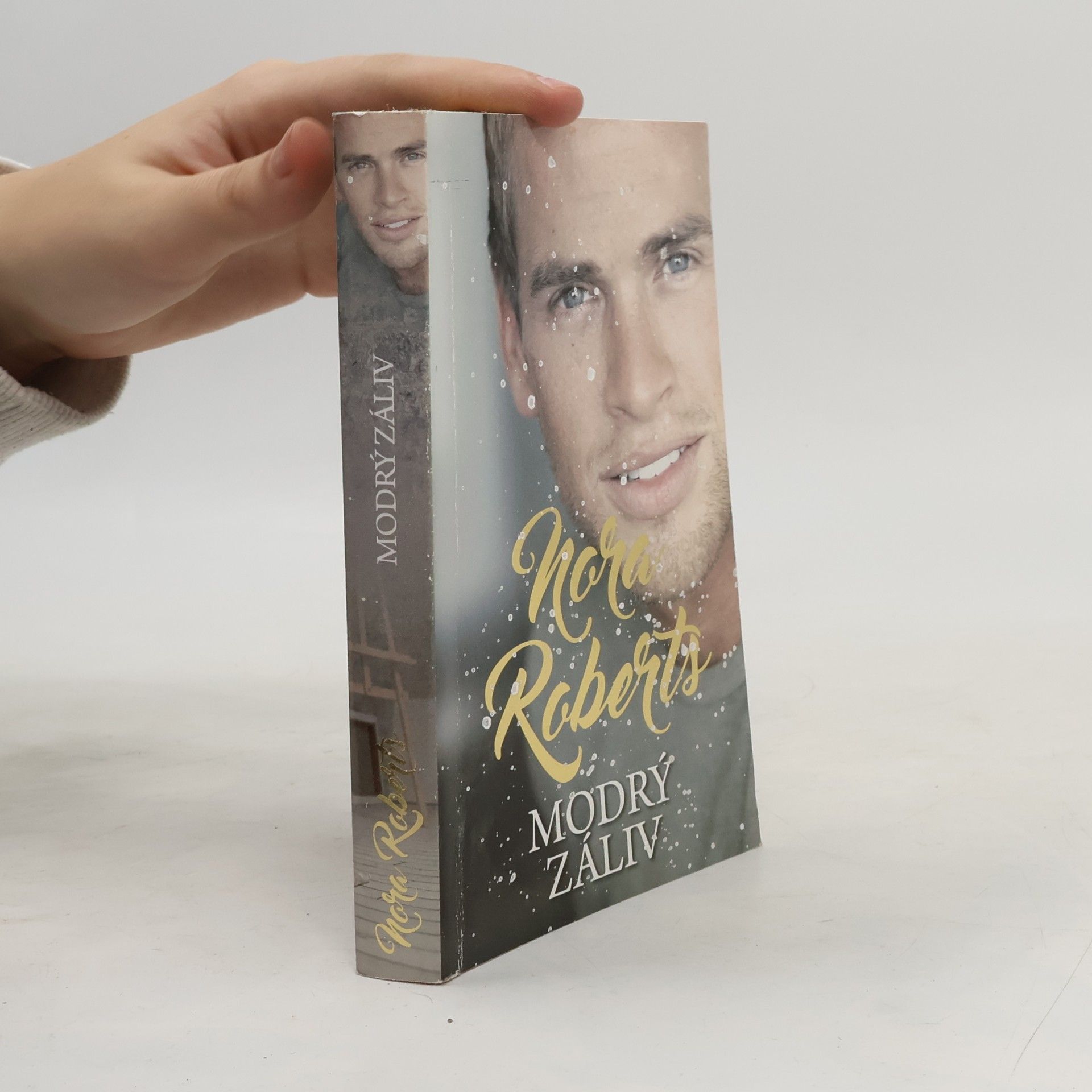 Nora Roberts Modrý záliv