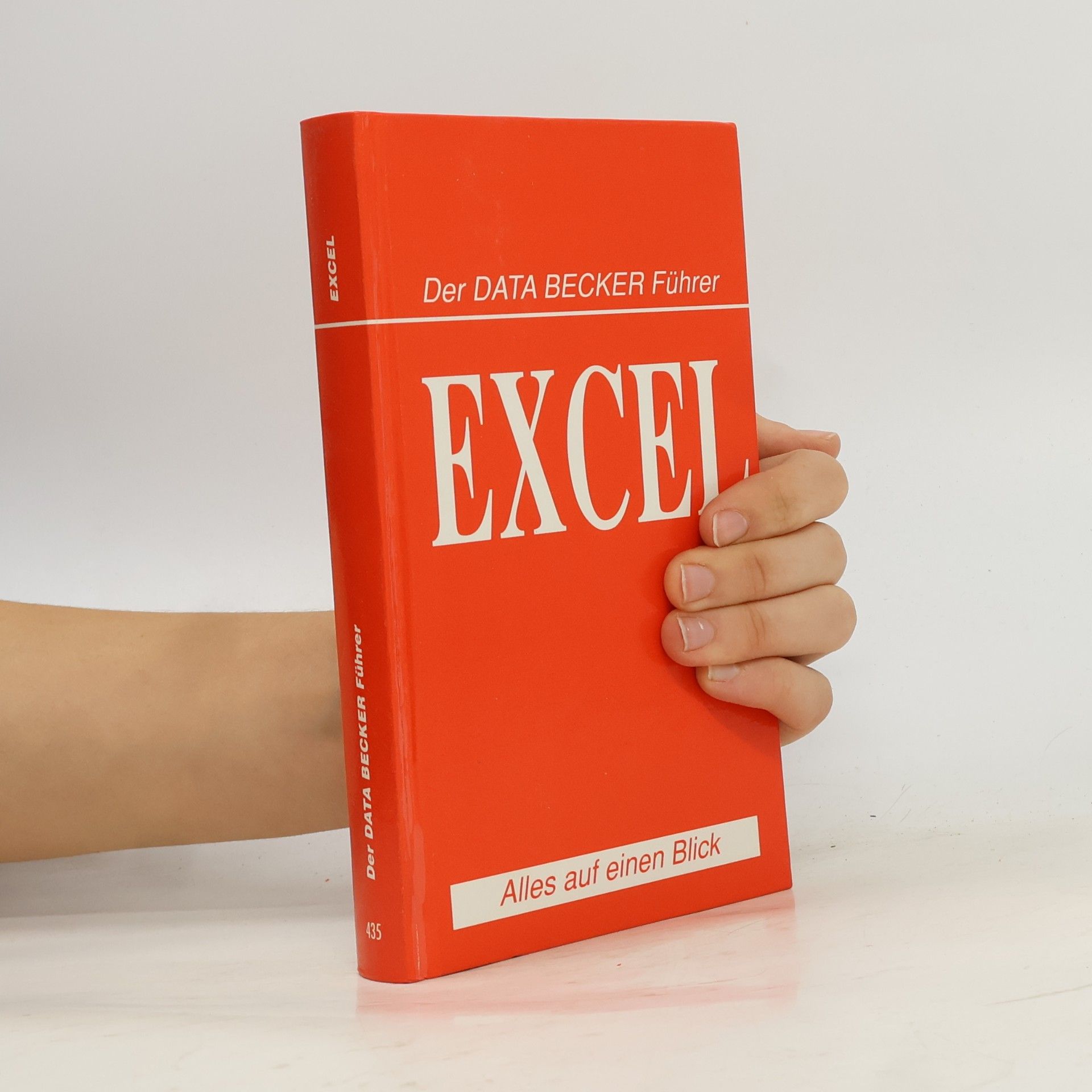 Der Data-Becker-Führer Excel