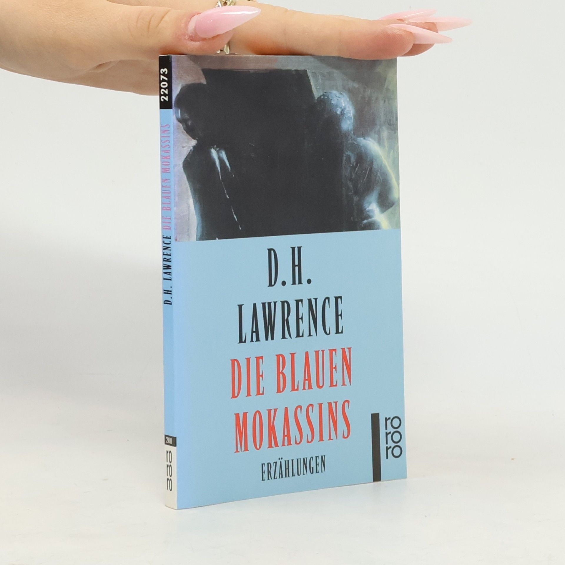 Die blauen Mokassins