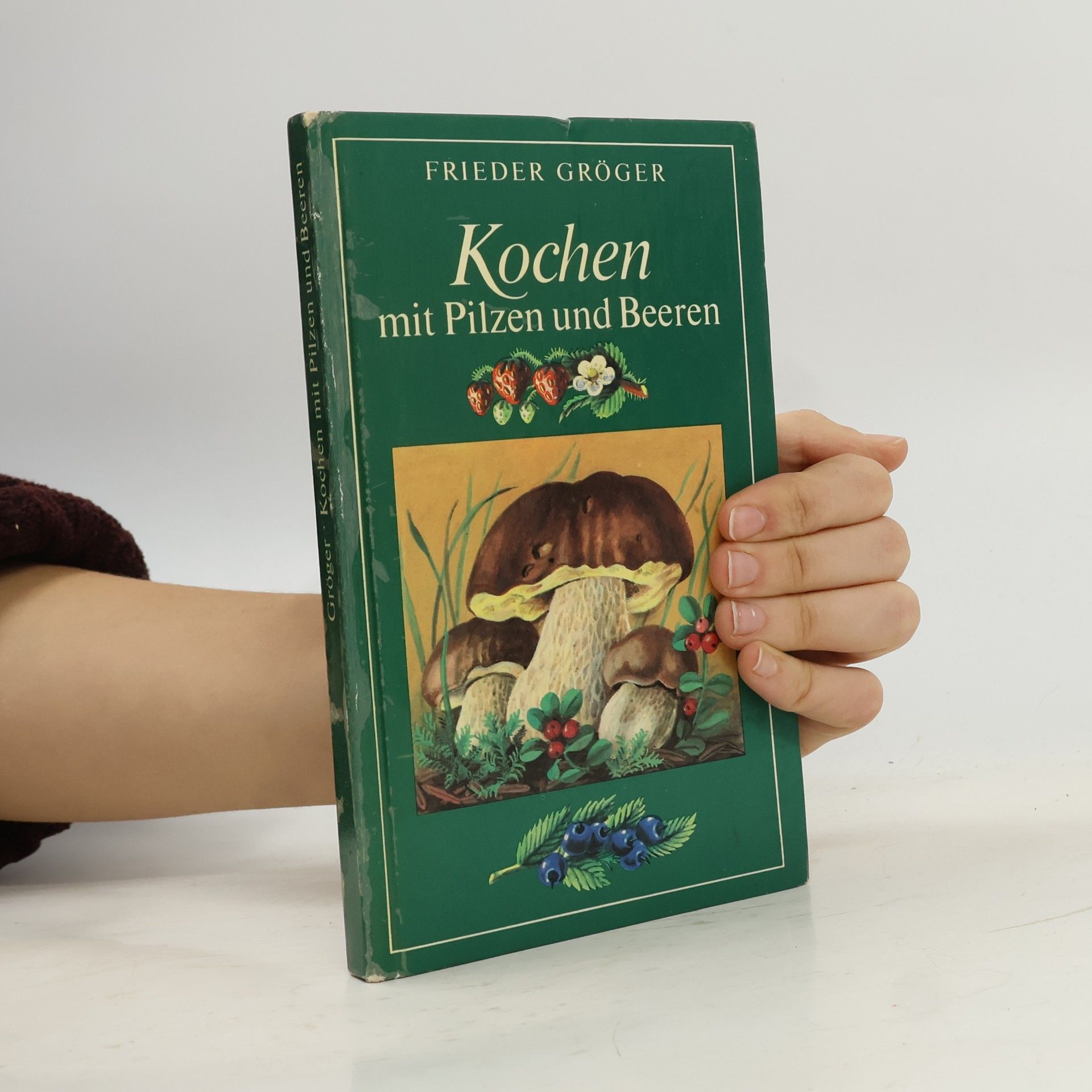 Frieder Gröger Kochen mit Pilzen und Beeren