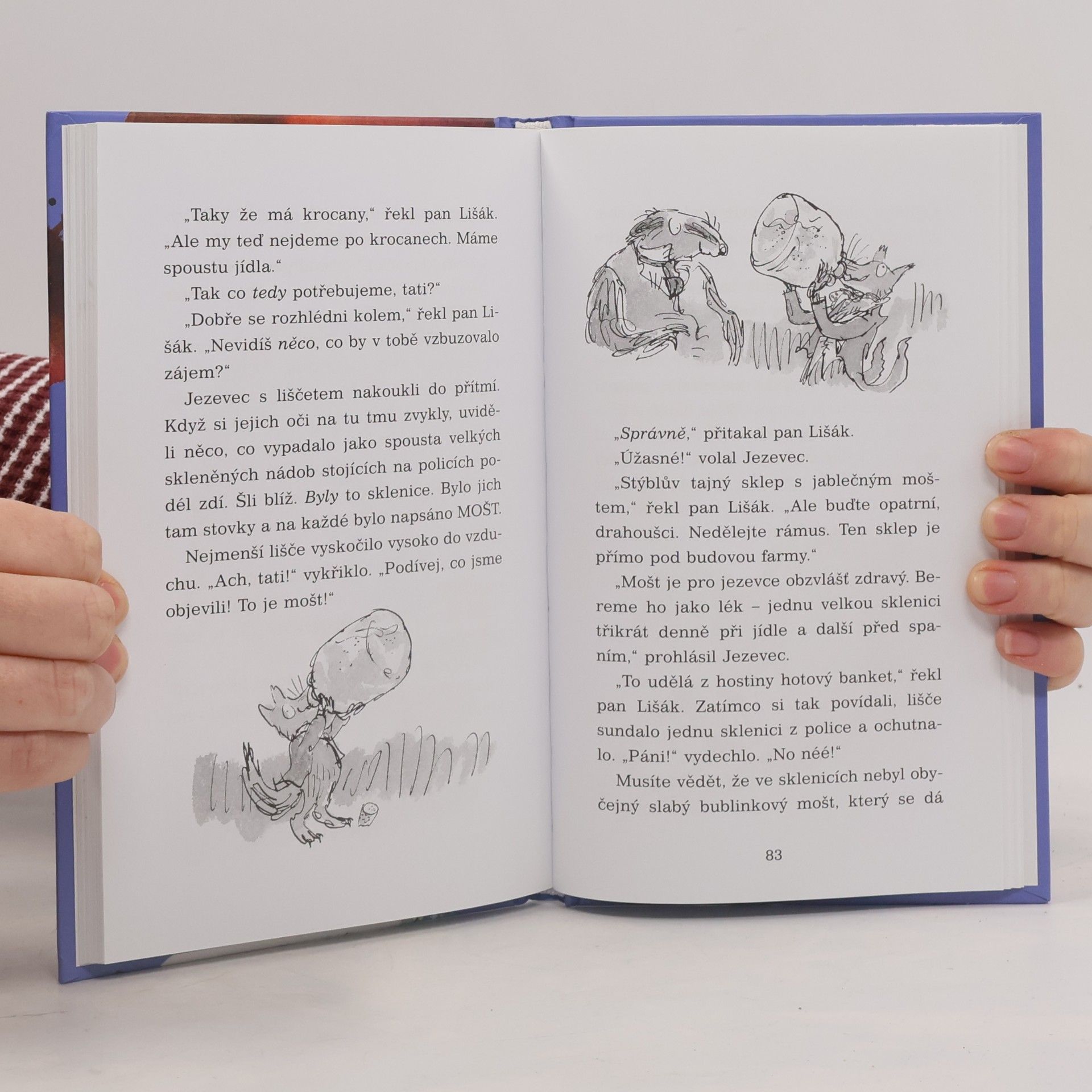 Roald Dahl Fantastický pan Lišák