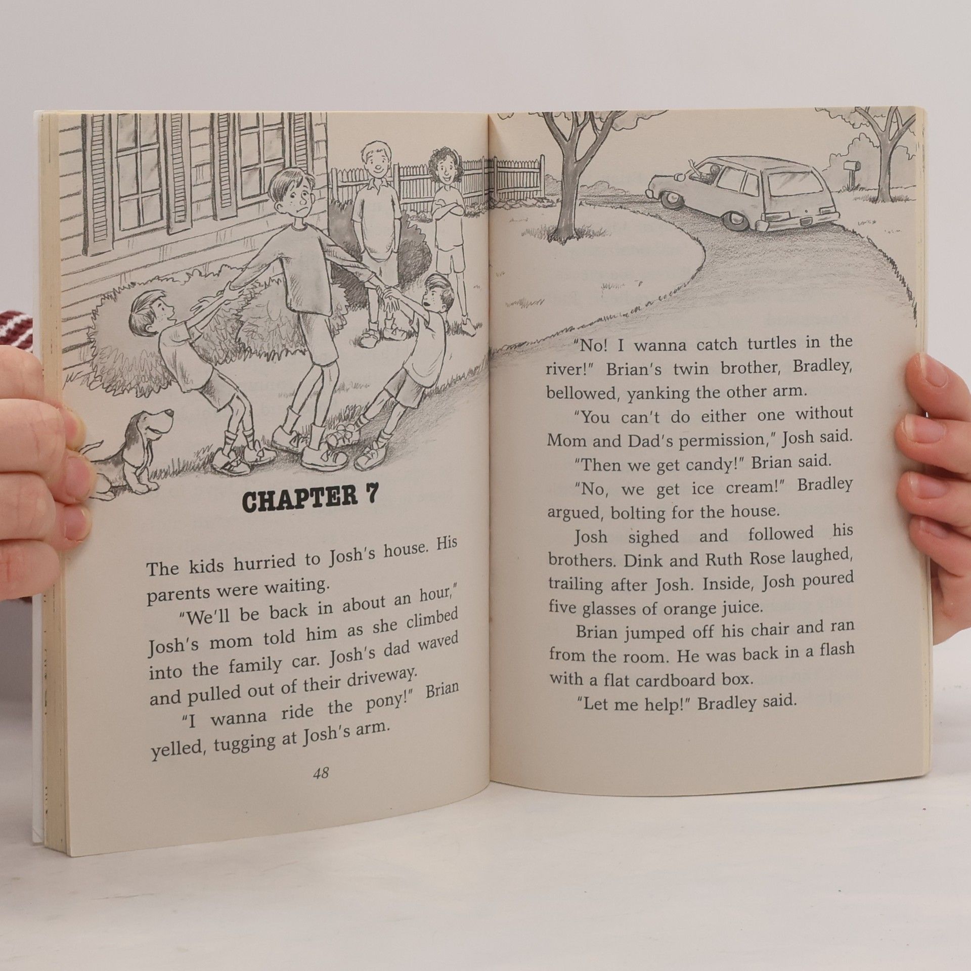 Ron Roy A to Z Mysteries: The Panda Puzzle