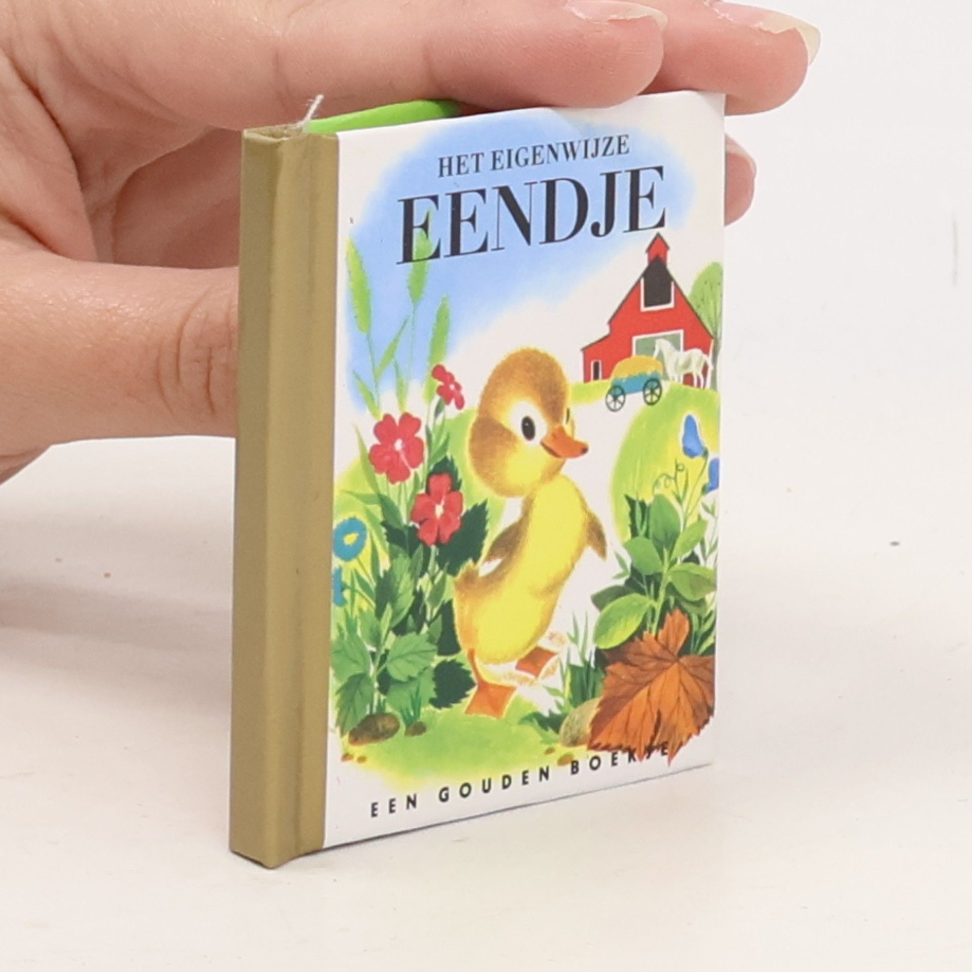 Het eigenwijze eendje