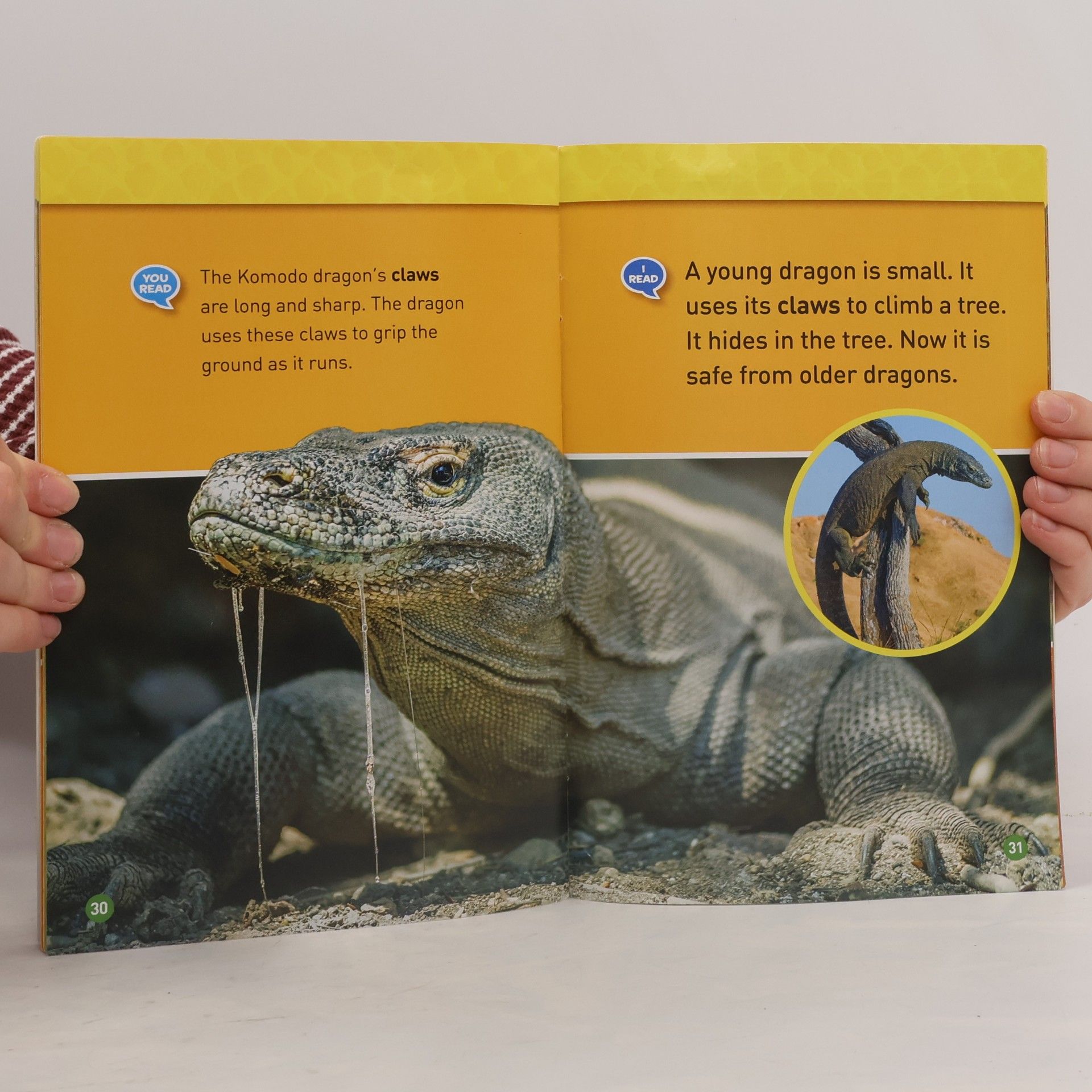 Jennifer Szymanski National Geographic Kids - 1: Real Dragons