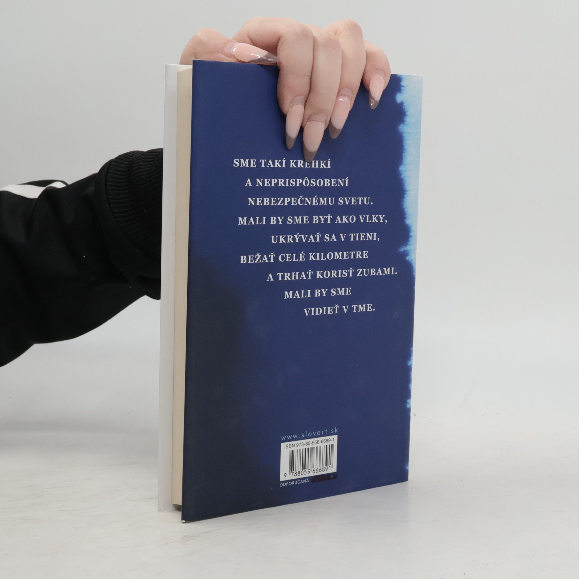 Paula Hawkins Modrá hodinka