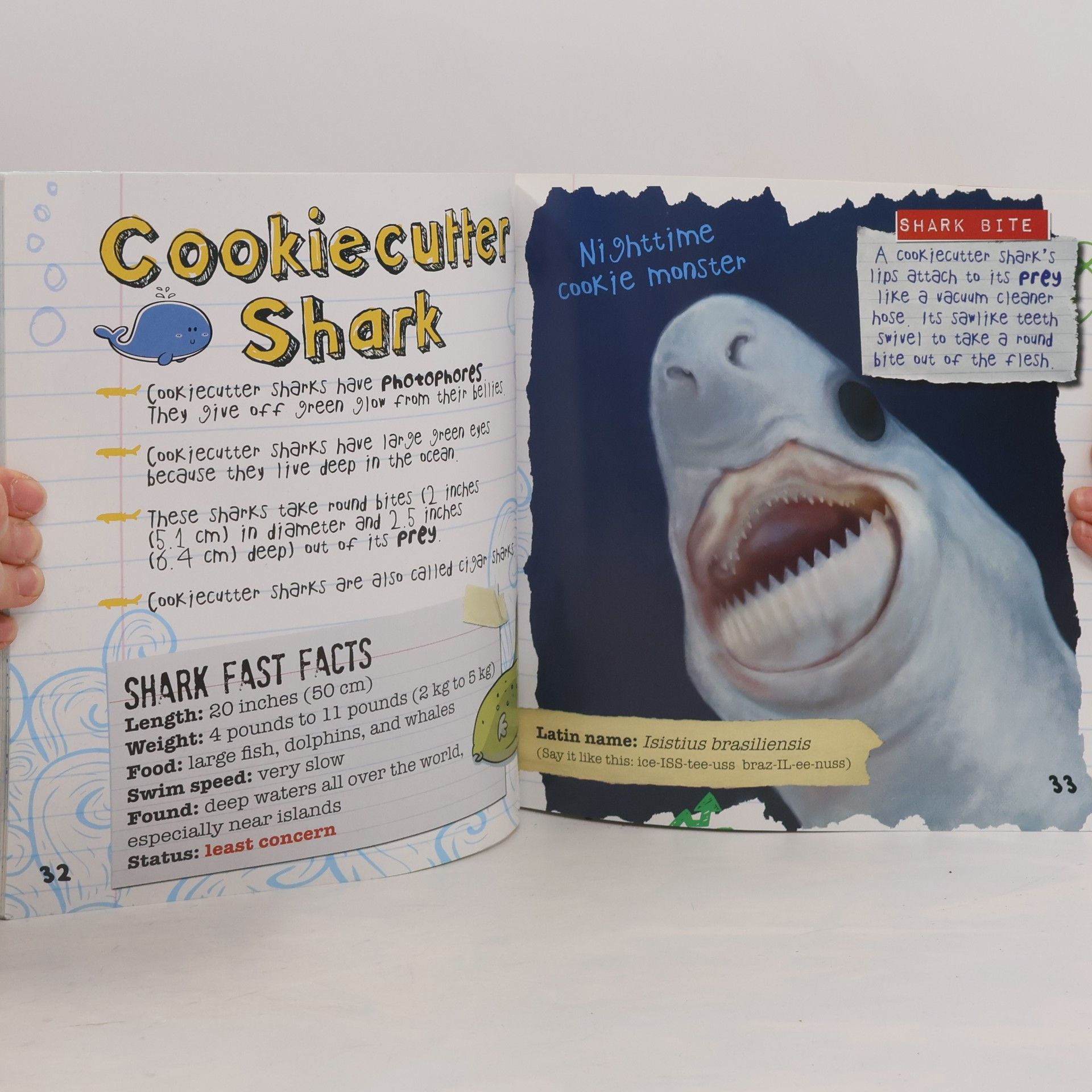 Heather Dakota Shark Bites