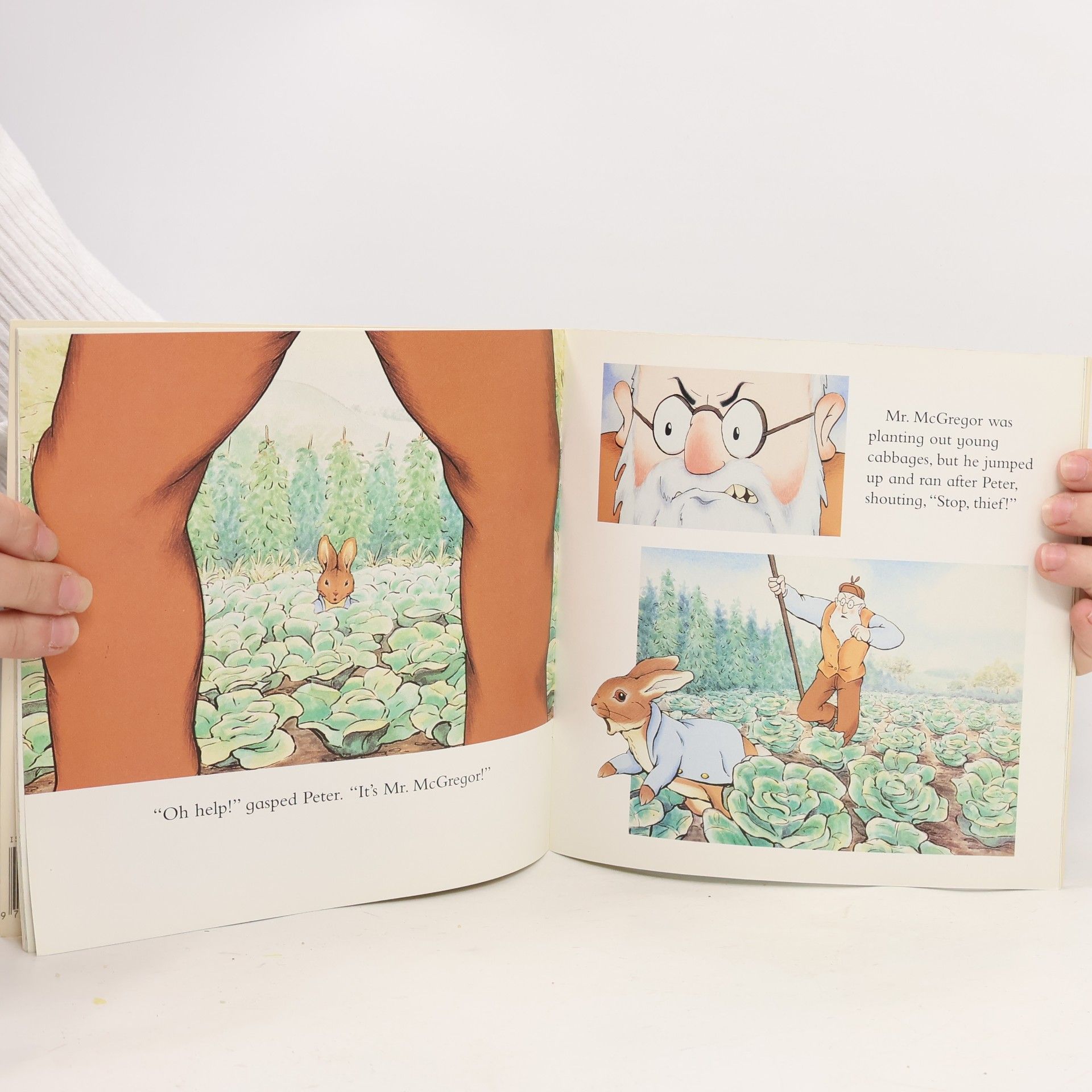 Beatrix Potter The tale of Peter Rabbit