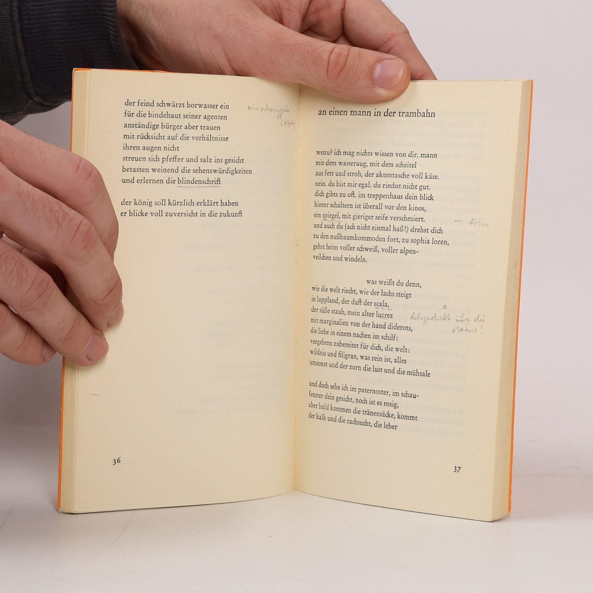 Hans Magnus Enzensberger Gedichte. Die Entstehung eines Gedichts