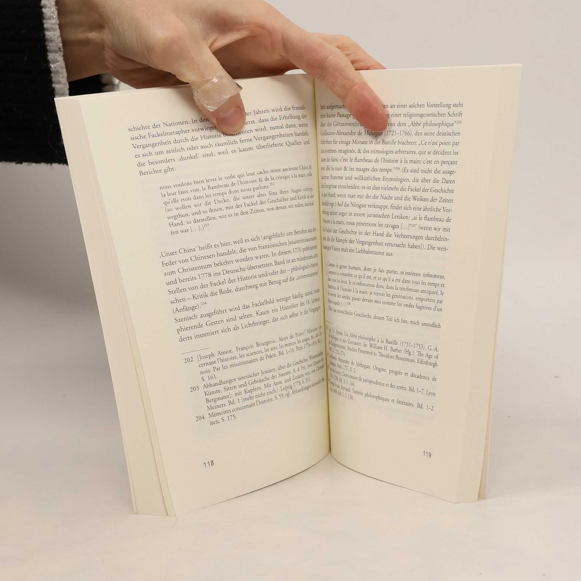 Daniel Fulda IZEA Kleine Schriften - 7/2016: „Die Geschichte trägt der Aufklärung die Fackel vor“