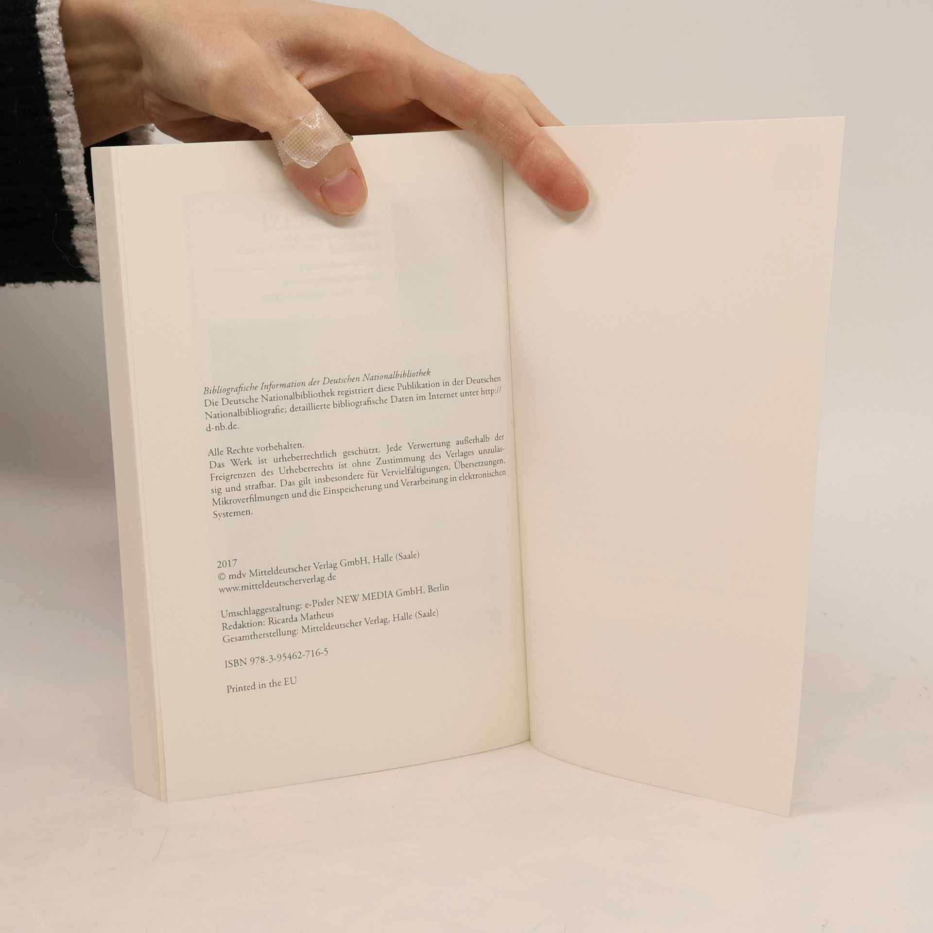 Daniel Fulda IZEA Kleine Schriften - 7/2016: „Die Geschichte trägt der Aufklärung die Fackel vor“