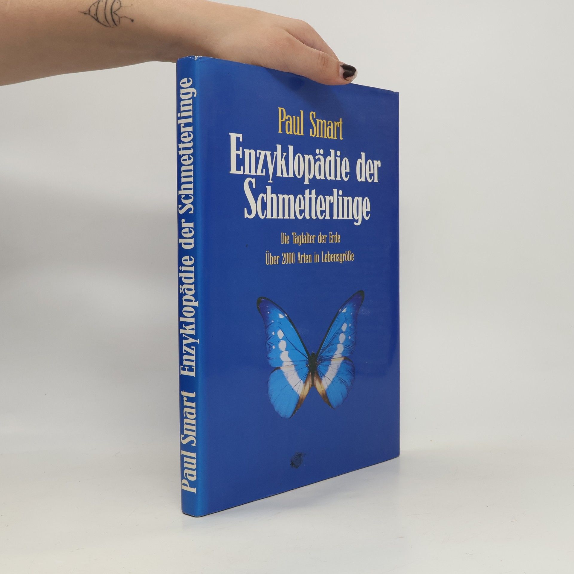 Enzyklopädie der Schmetterlinge