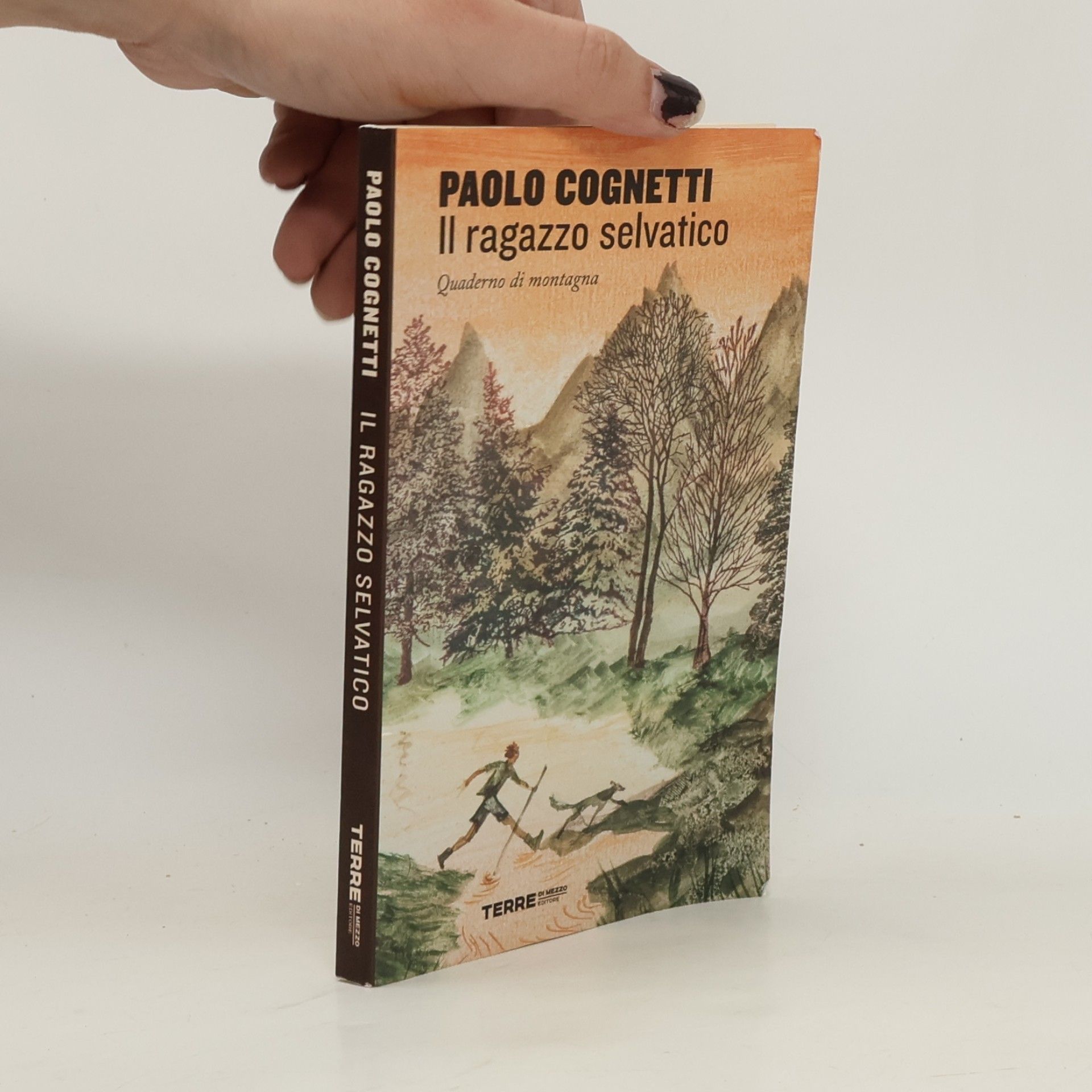 Paolo Cognetti Il ragazzo selvatico. Quaderno di montagna