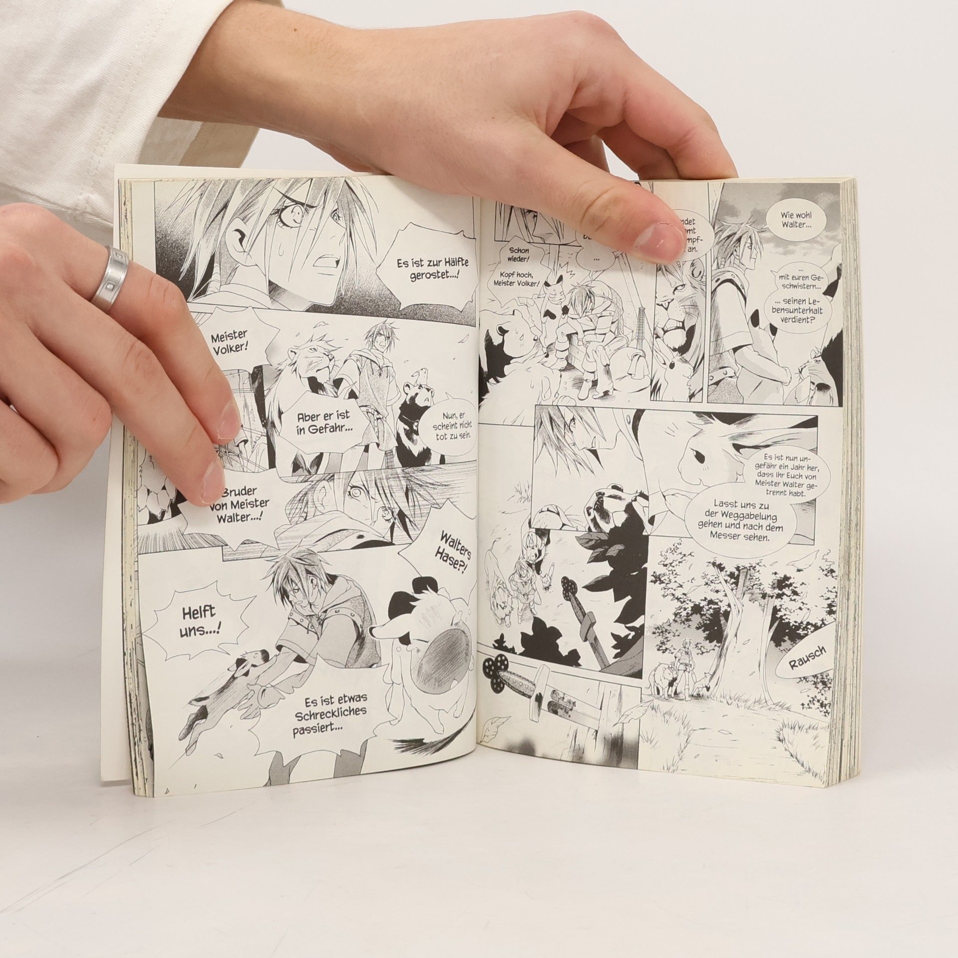 Kei Ishiyama Grimms Manga