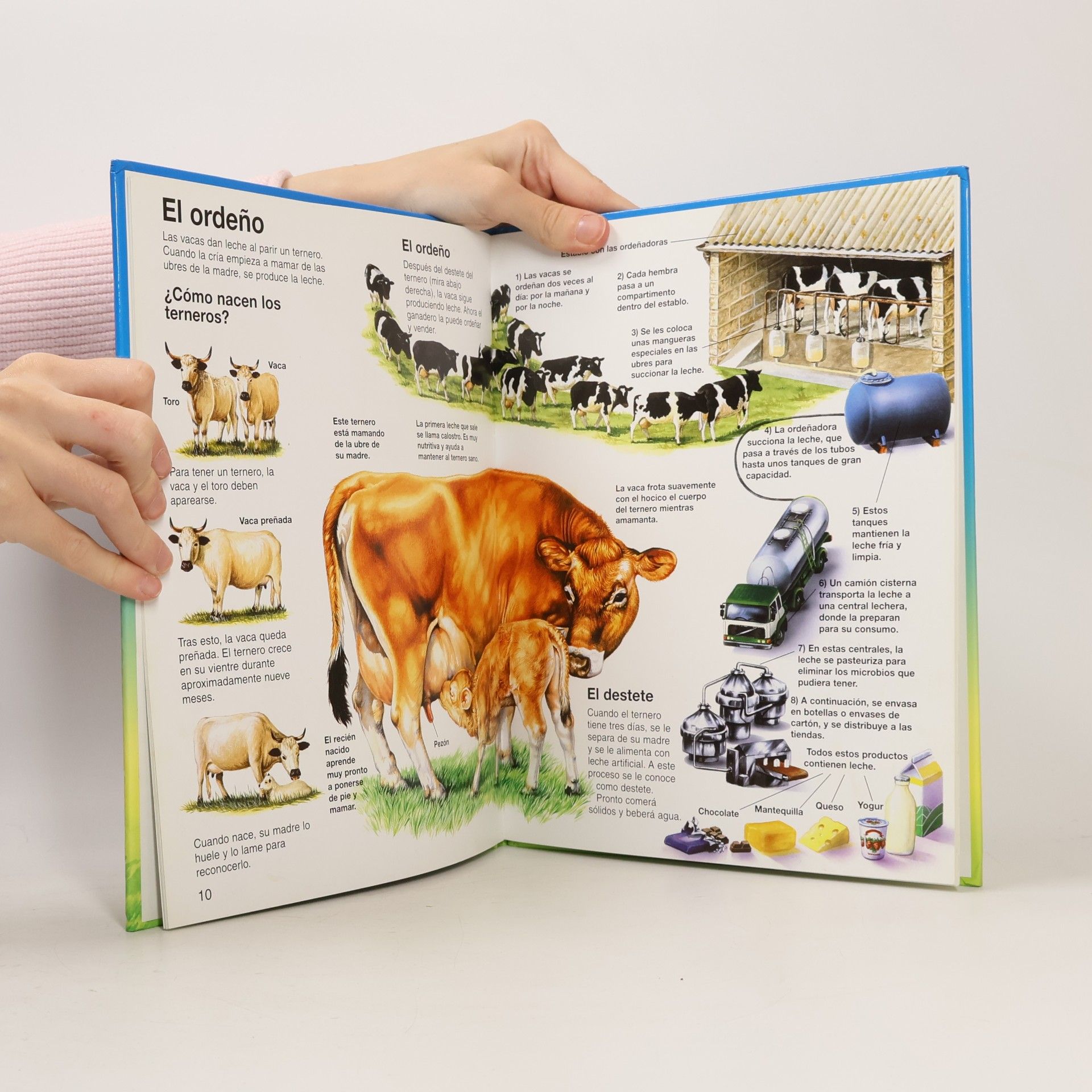 Philip Hood Animales de granja