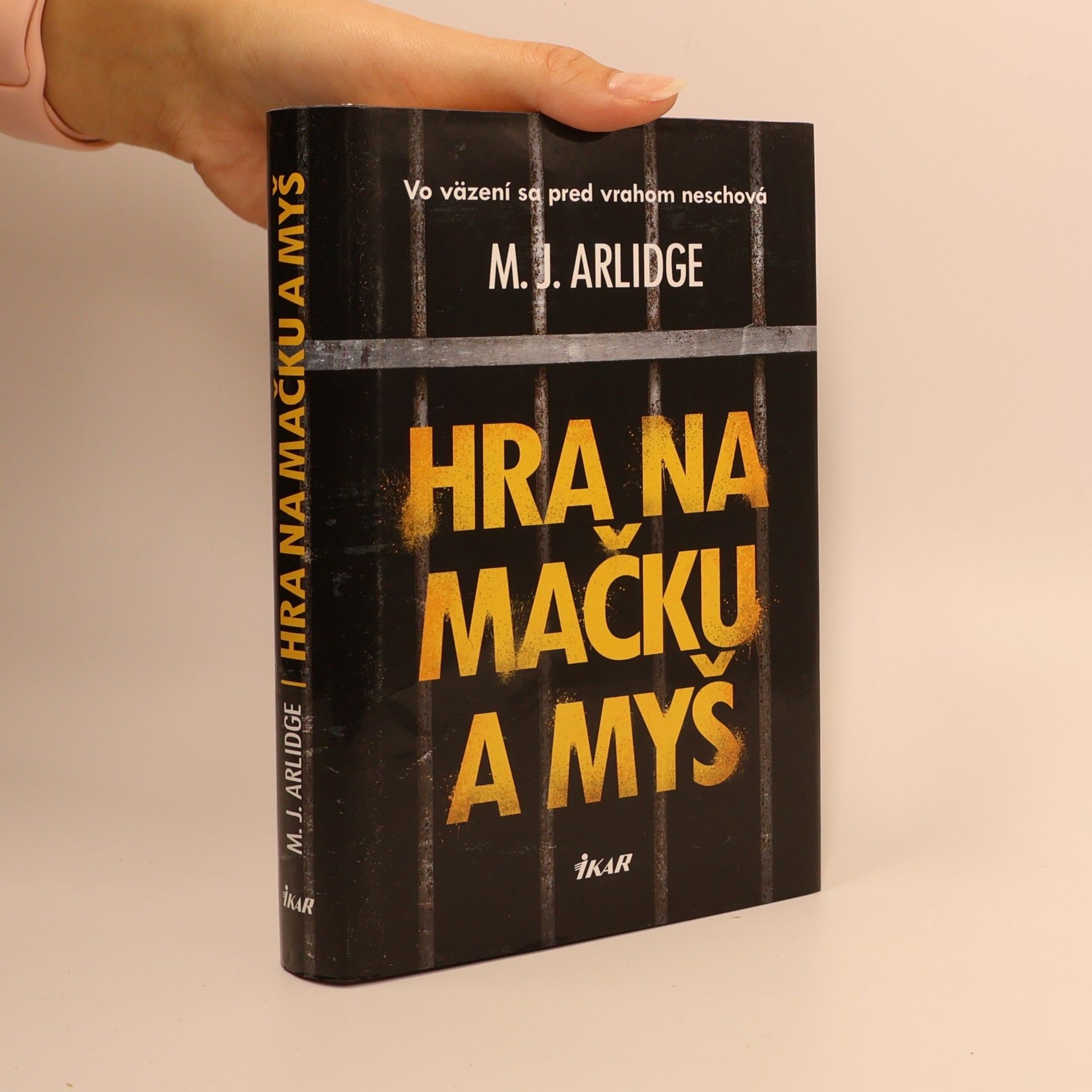 M. J. Arlidge Hra na mačku a myš