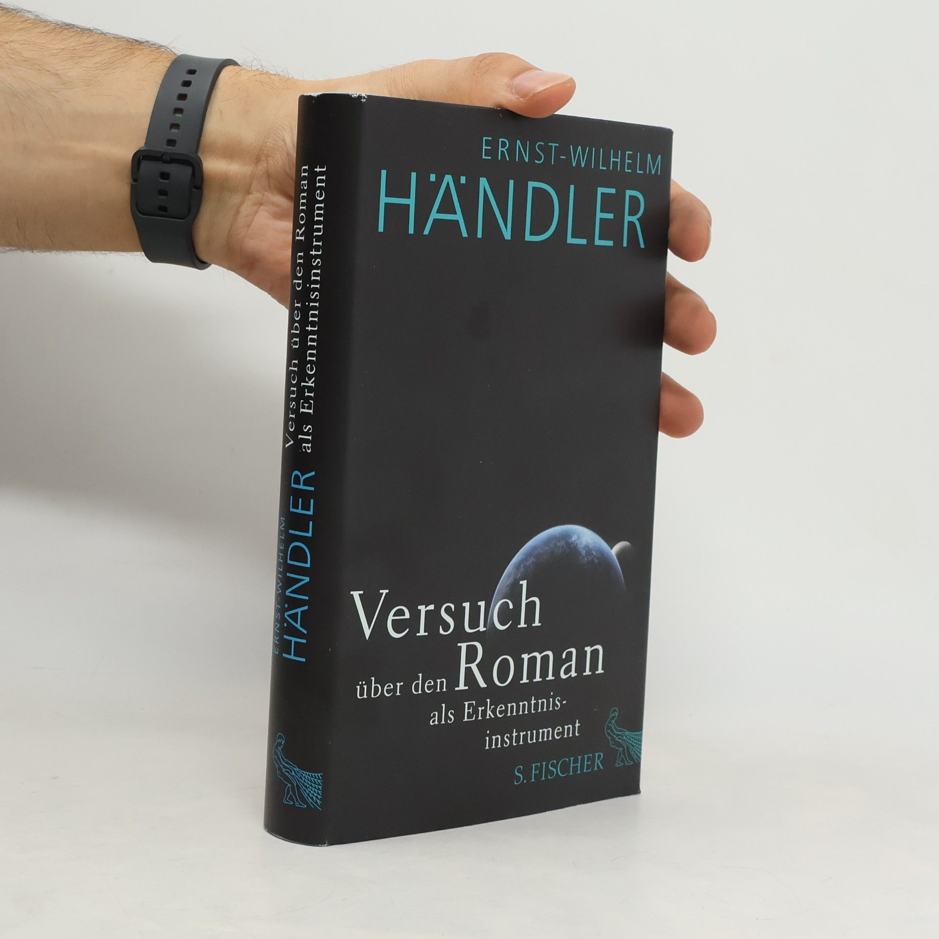 Versuch über den Roman als Erkenntnisinstrument