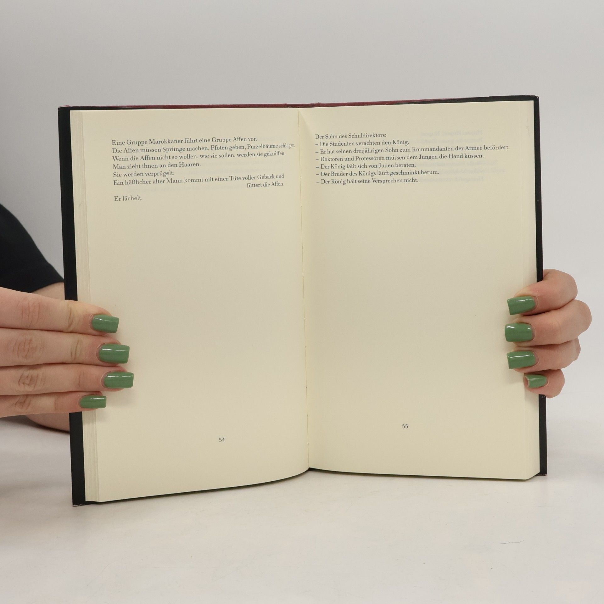 Hubert Fichte Hubert Fichte, Die Geschichte der Empfindlichkeit: Der Platz der Gehenkten