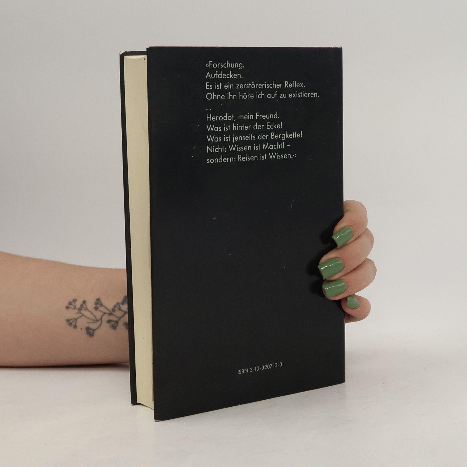 Arthur Rimbaud Homosexualität und Literatur