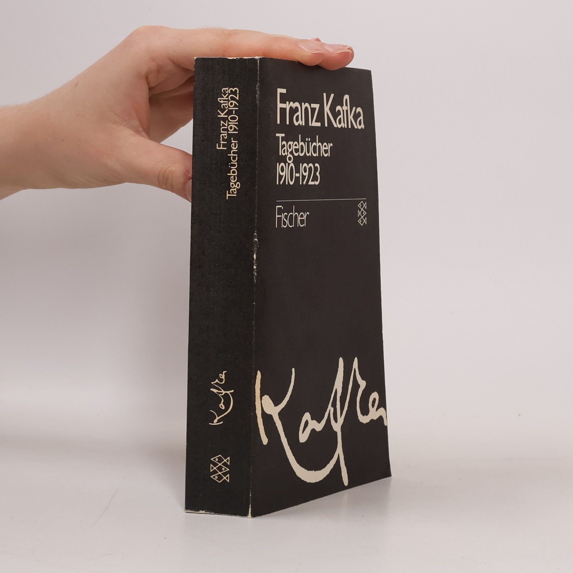 Franz Kafka Tagebücher 1910-1923