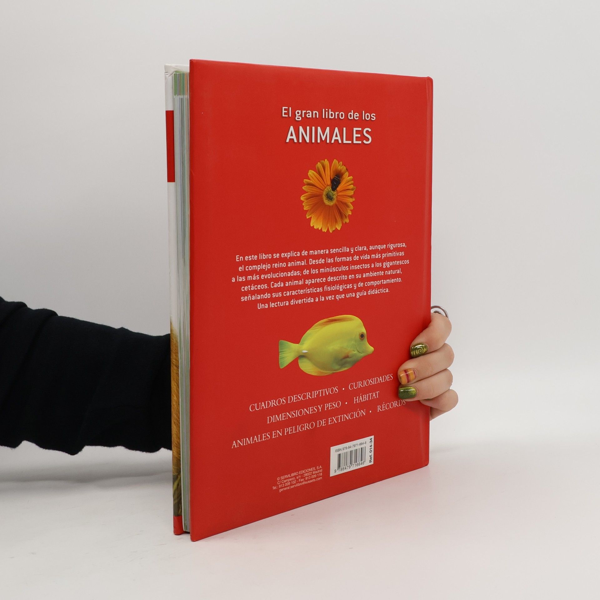 El gran libro de los animales