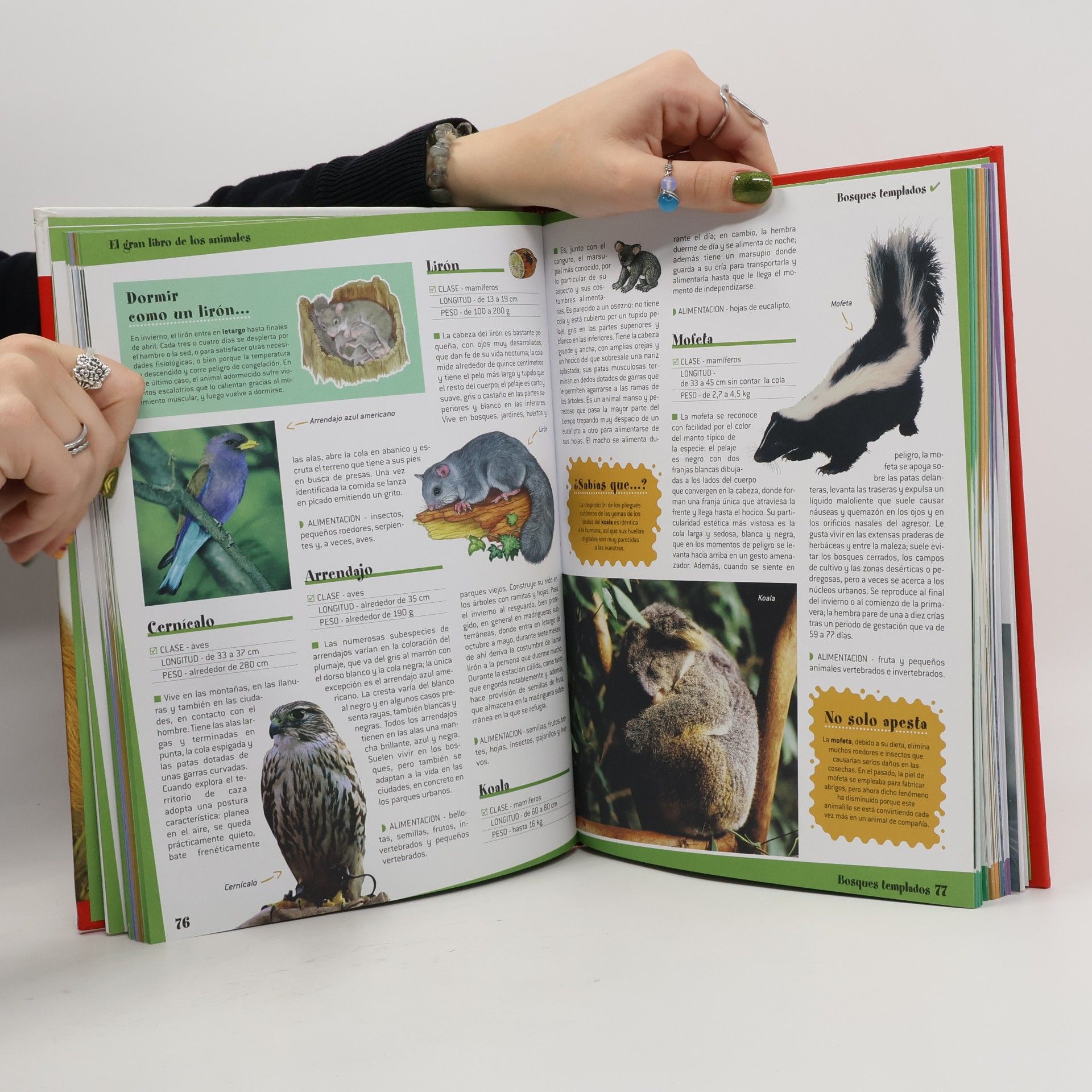 El gran libro de los animales