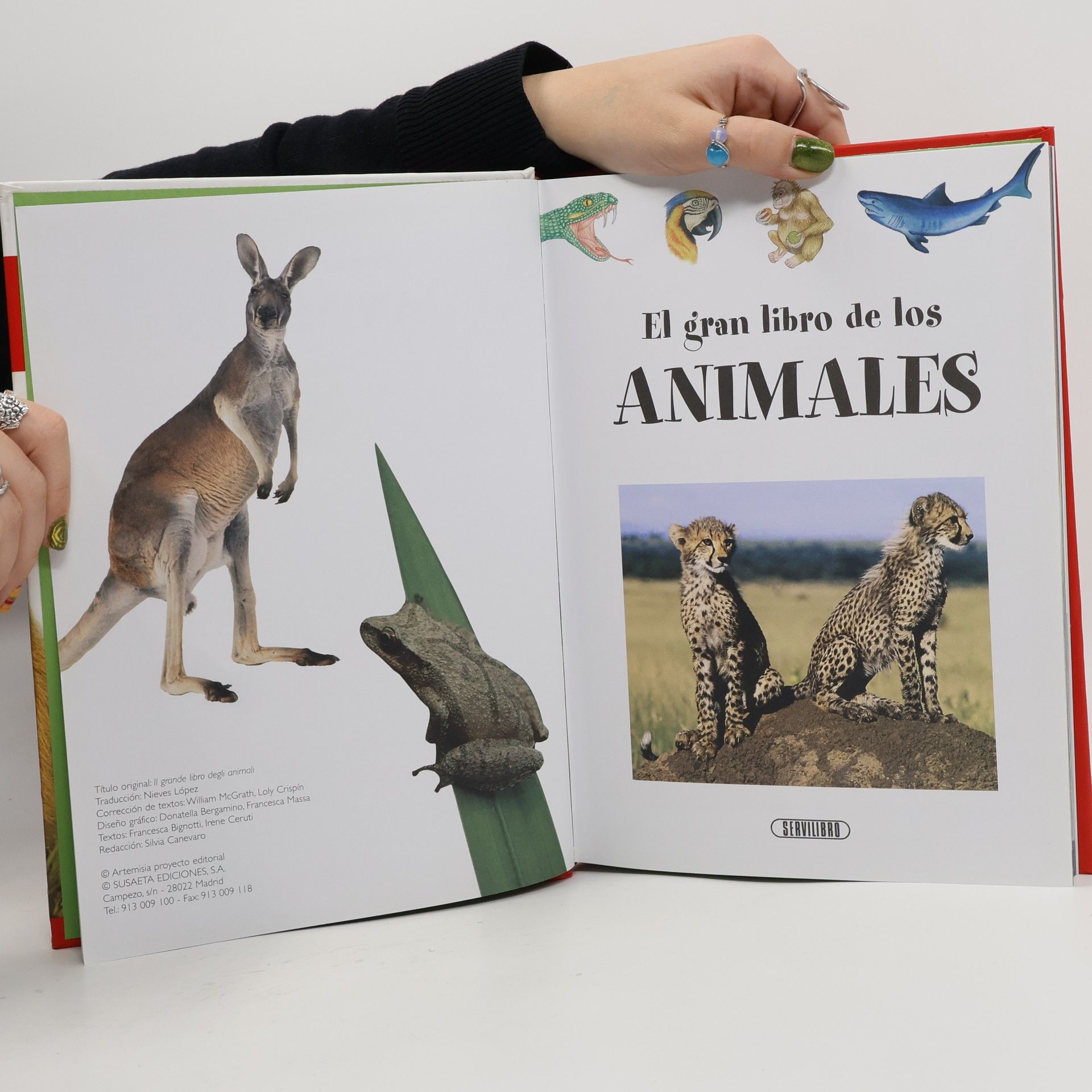 El gran libro de los animales