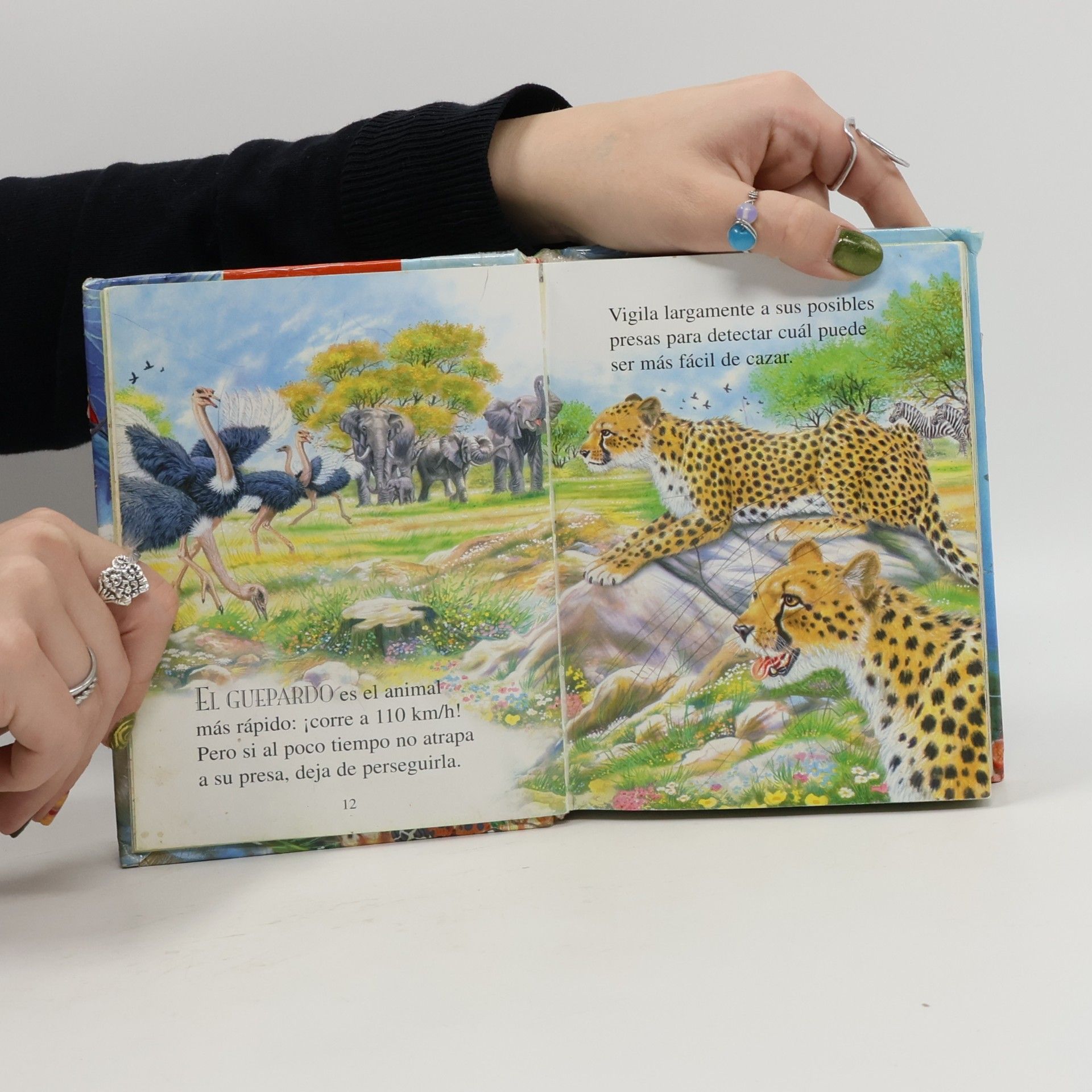 Francisca Valiente Primera biblioteca: 250 curiosidades de los animales
