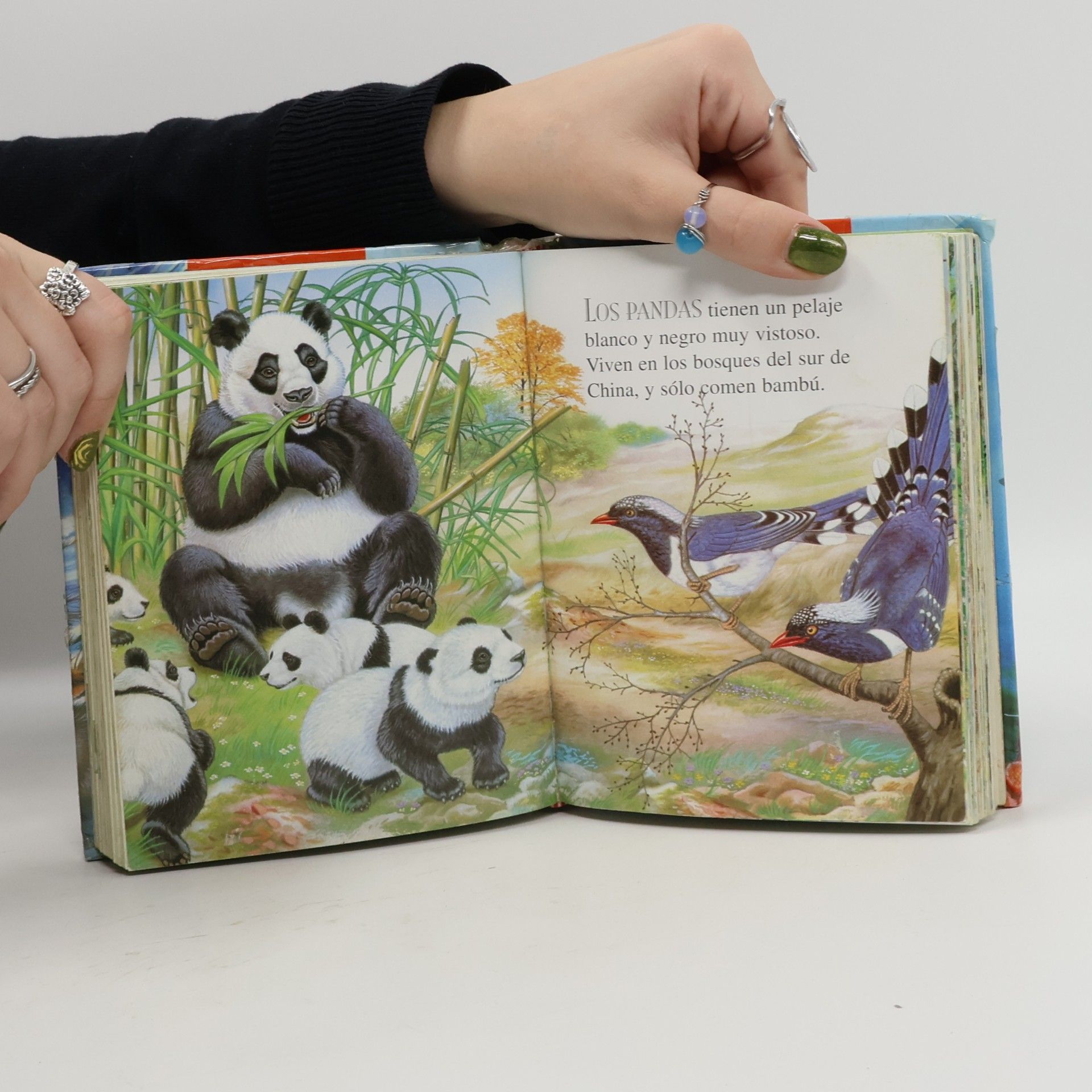 Francisca Valiente Primera biblioteca: 250 curiosidades de los animales