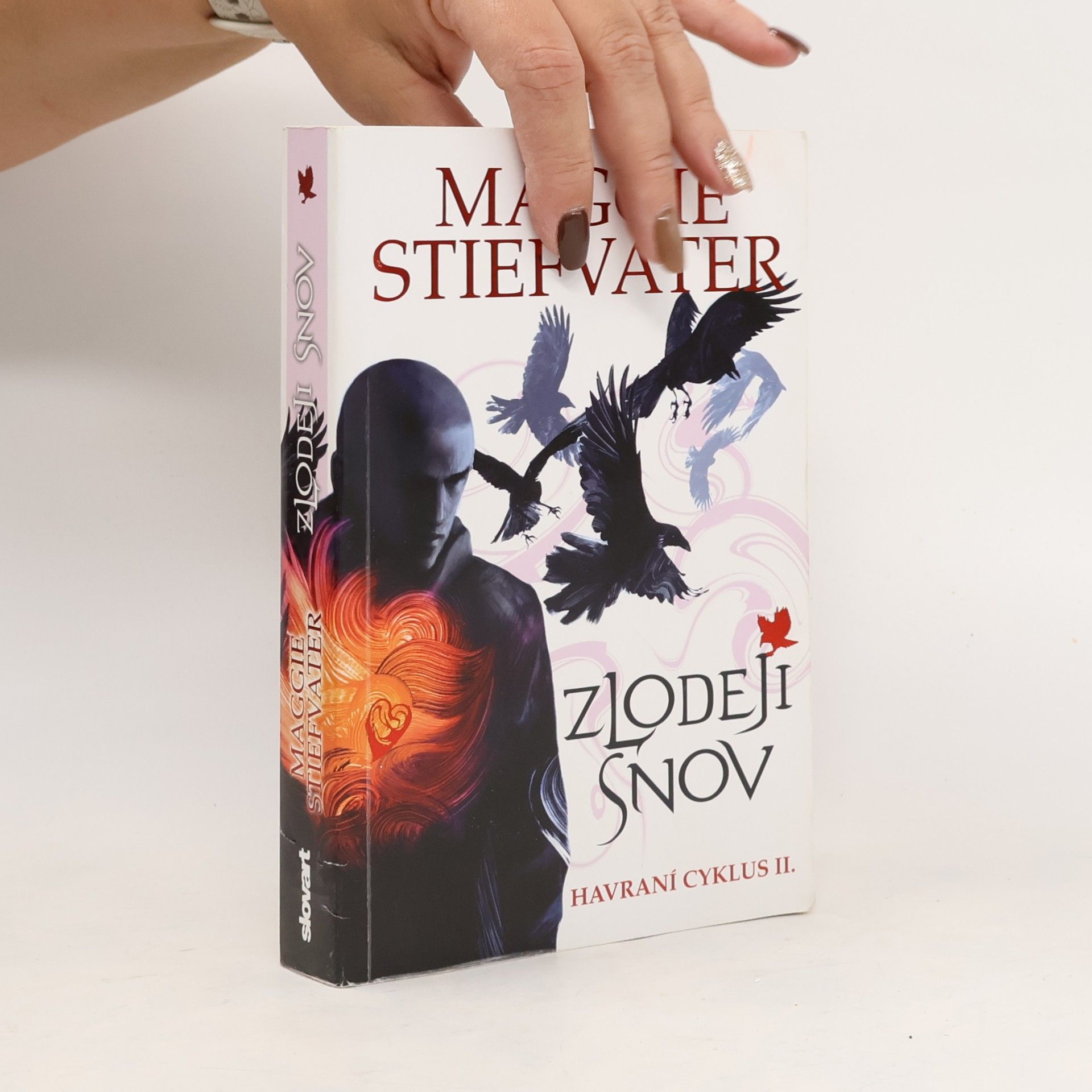 Maggie Stiefvater Zlodeji snov