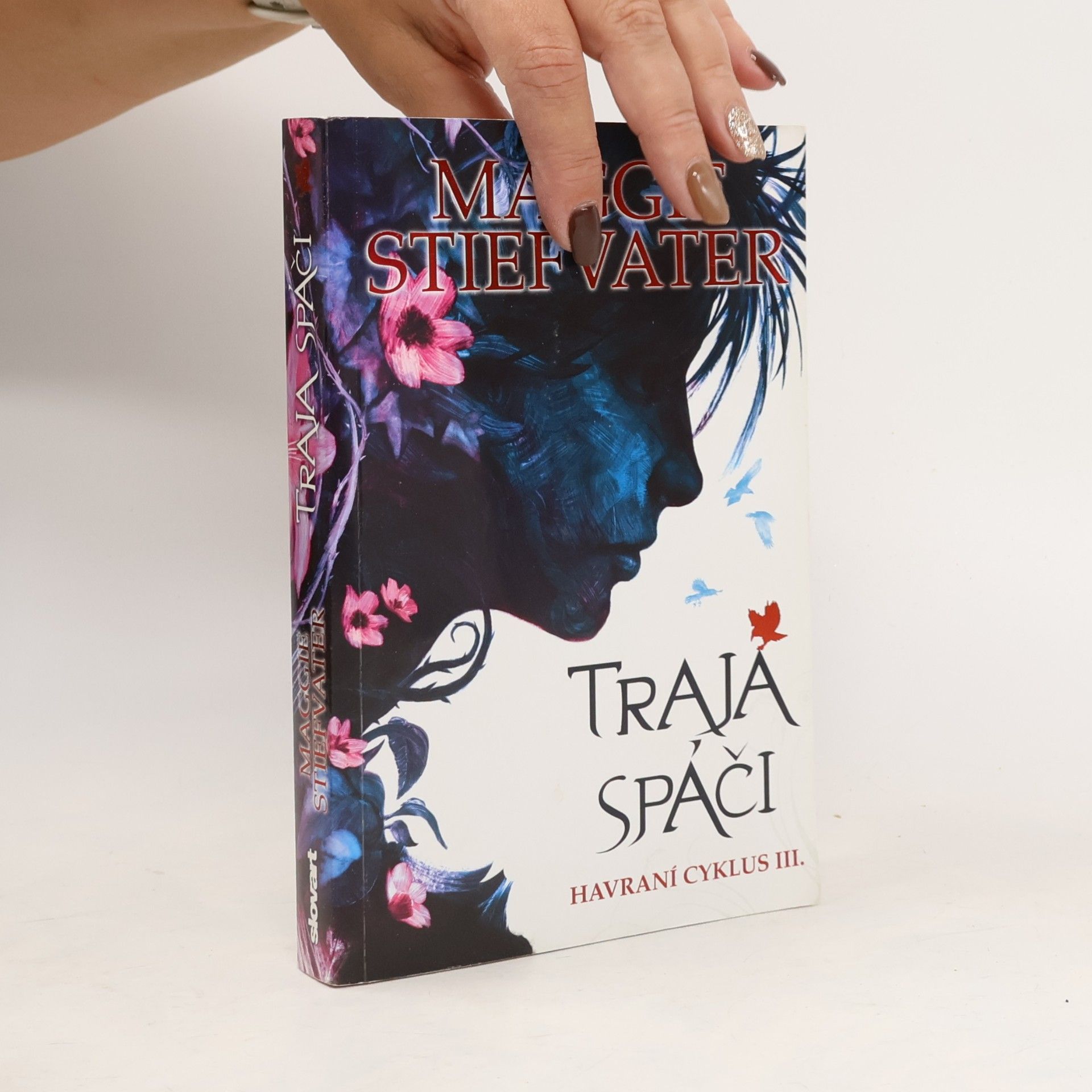 Maggie Stiefvater Traja spáči