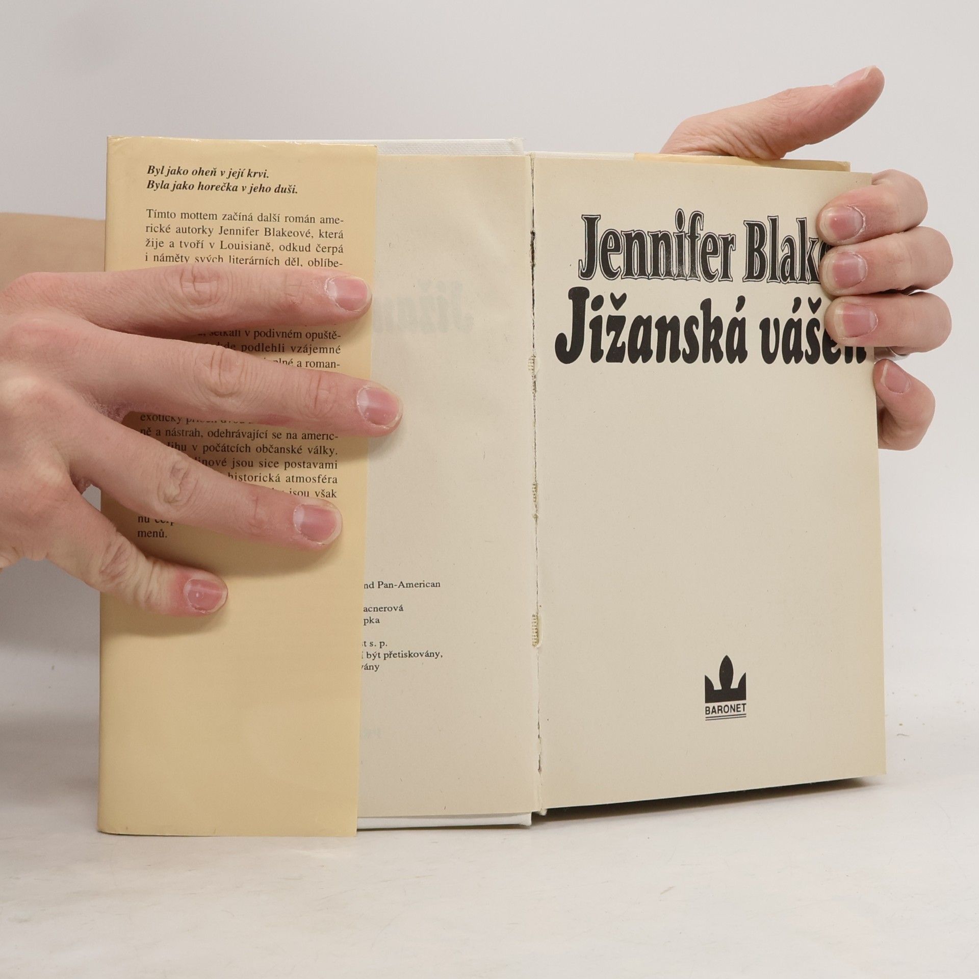Jennifer Blake Jižanská vášeň