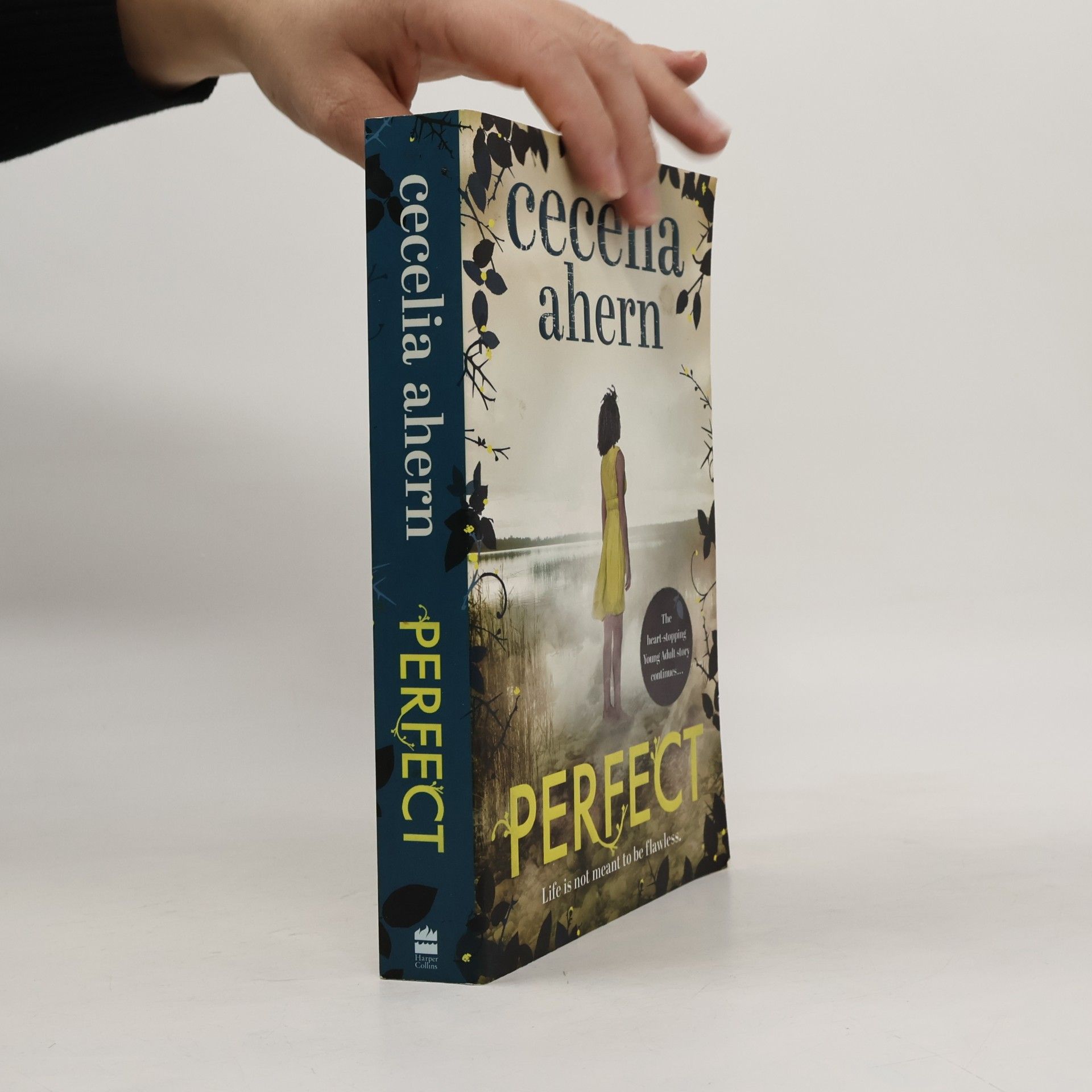 Cecelia Ahern Perfect