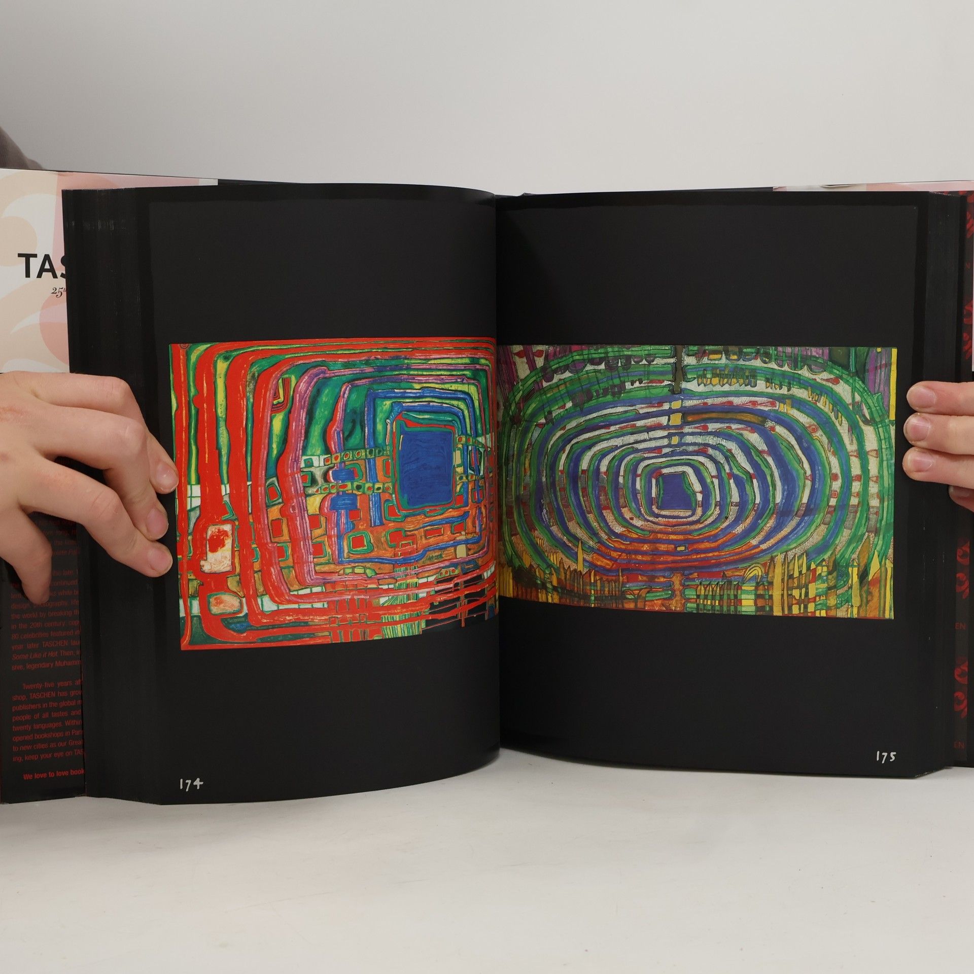 Wieland Schmied Hundertwasser