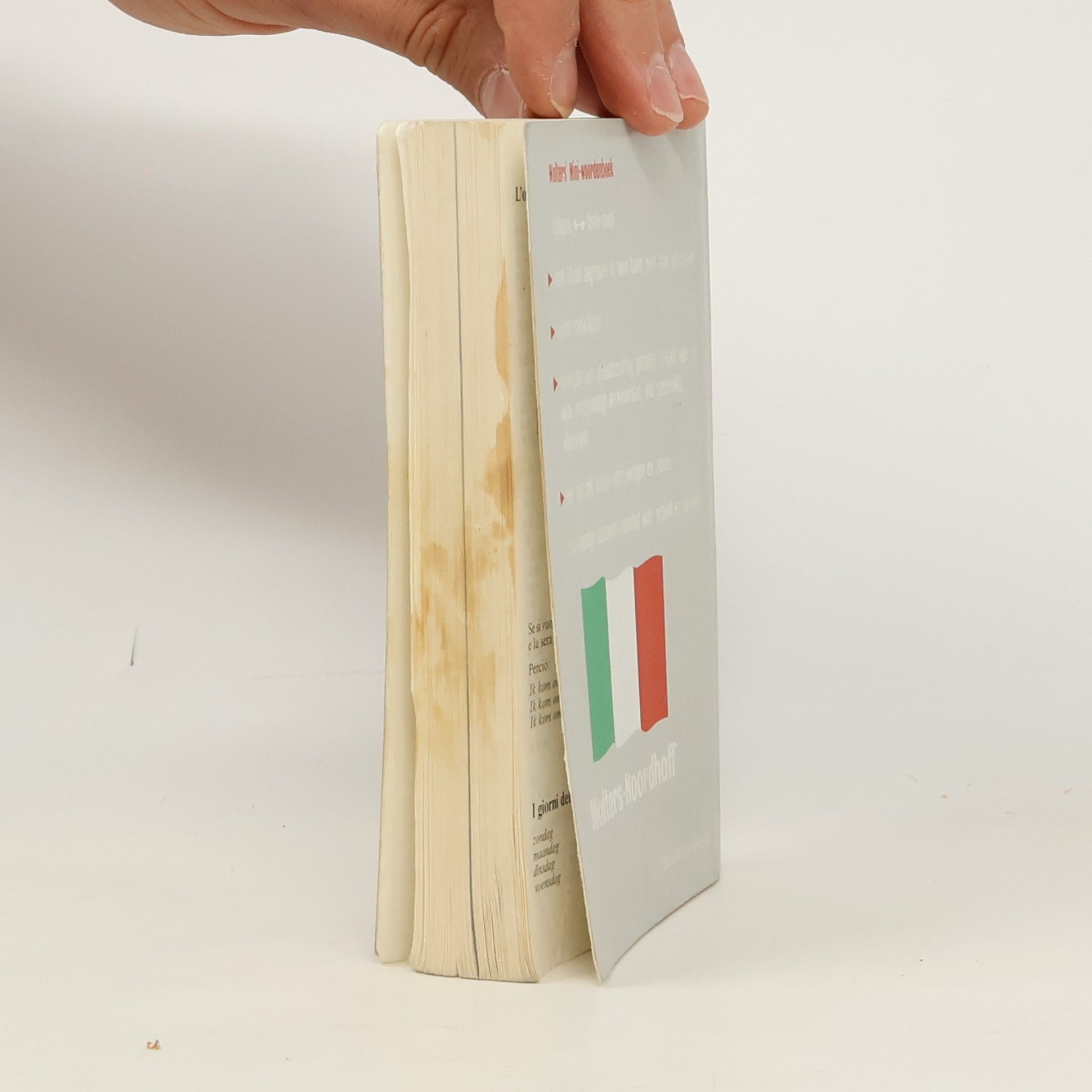 Wolters mini woordenboek Italiaans