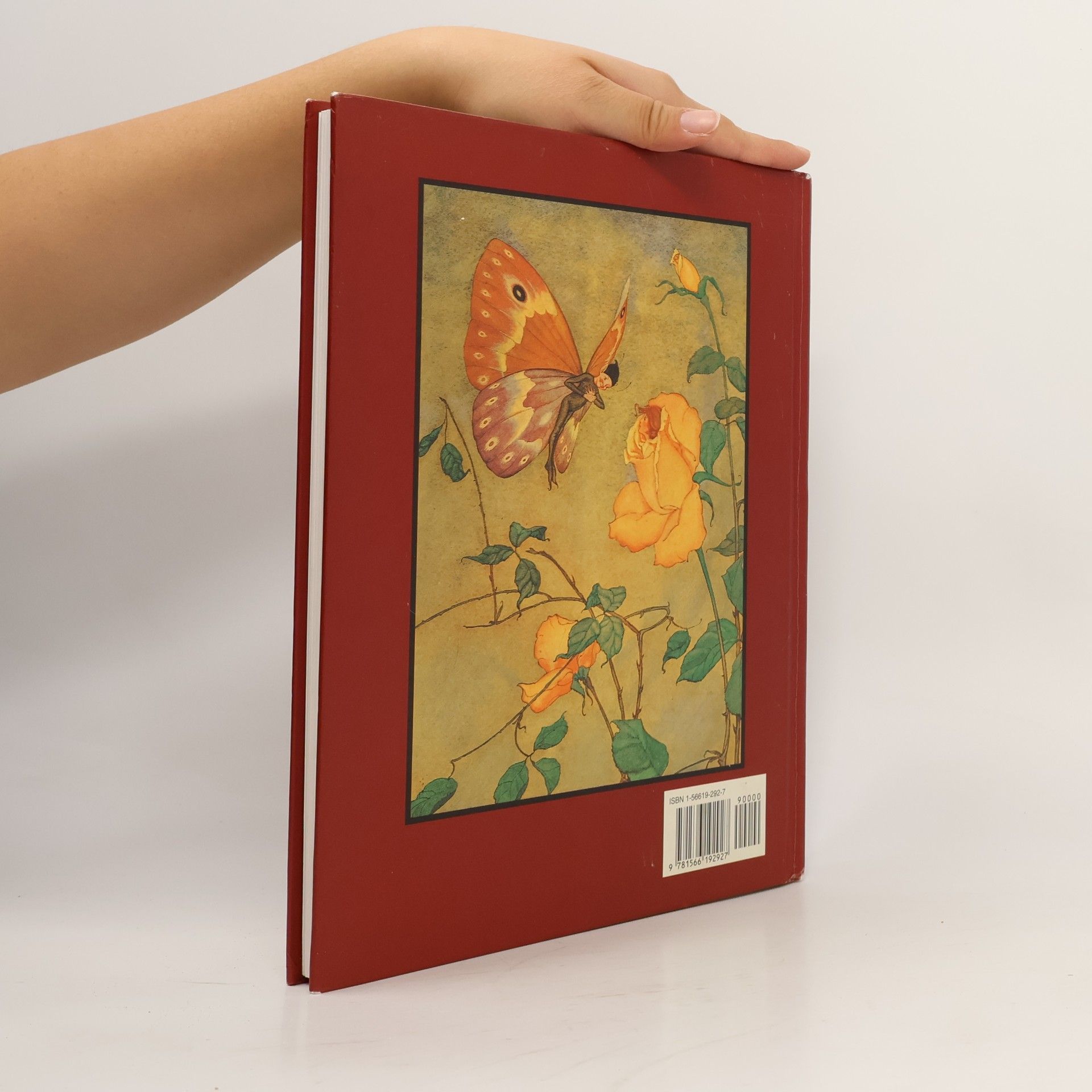 Milo Winter The Aesop for Children