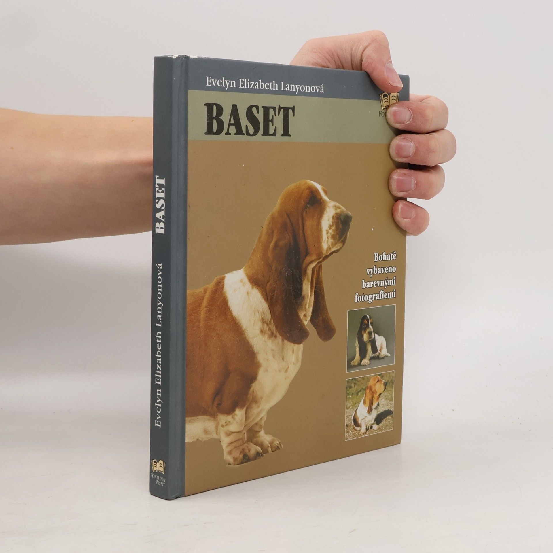 Baset