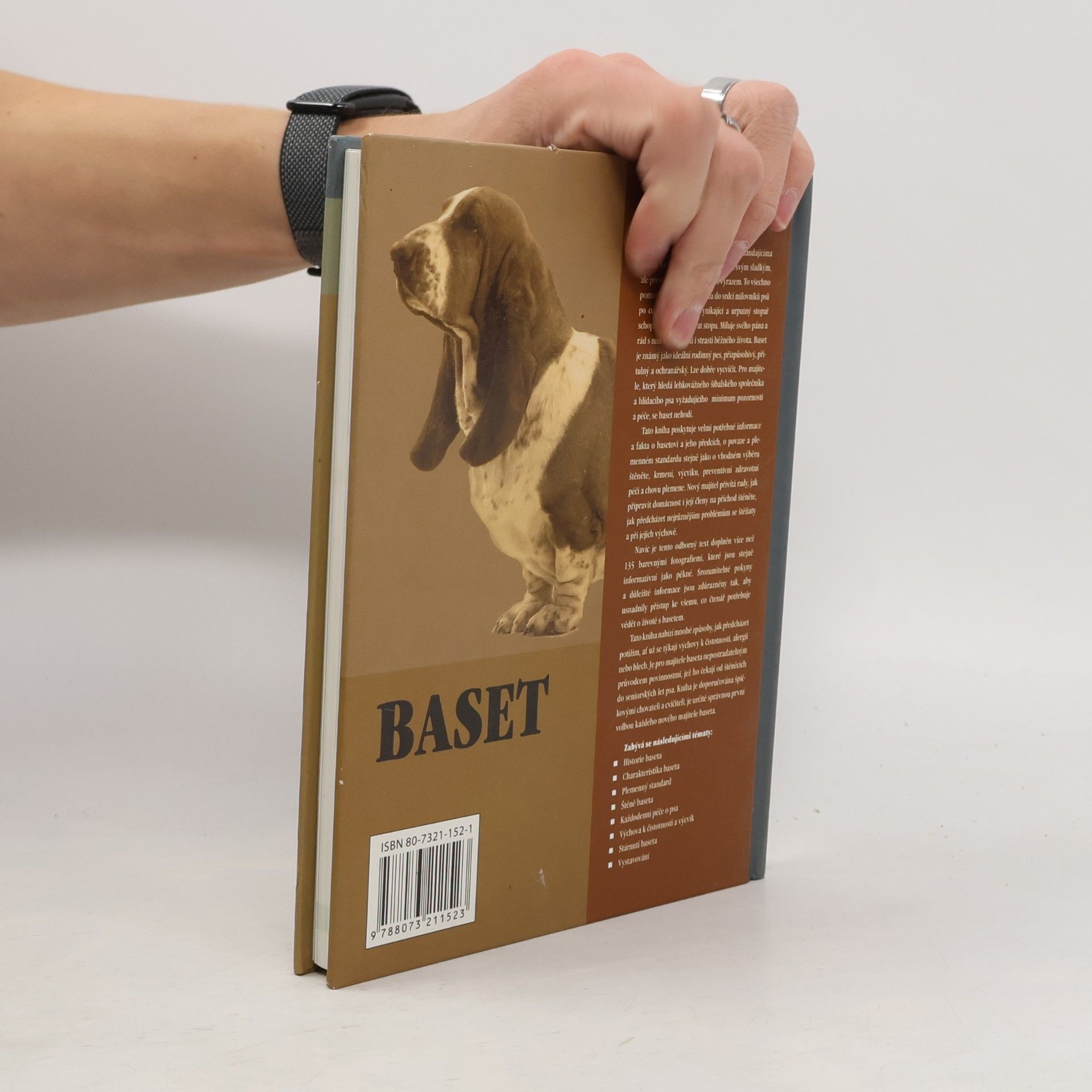 Elizabeth Lanyon Baset