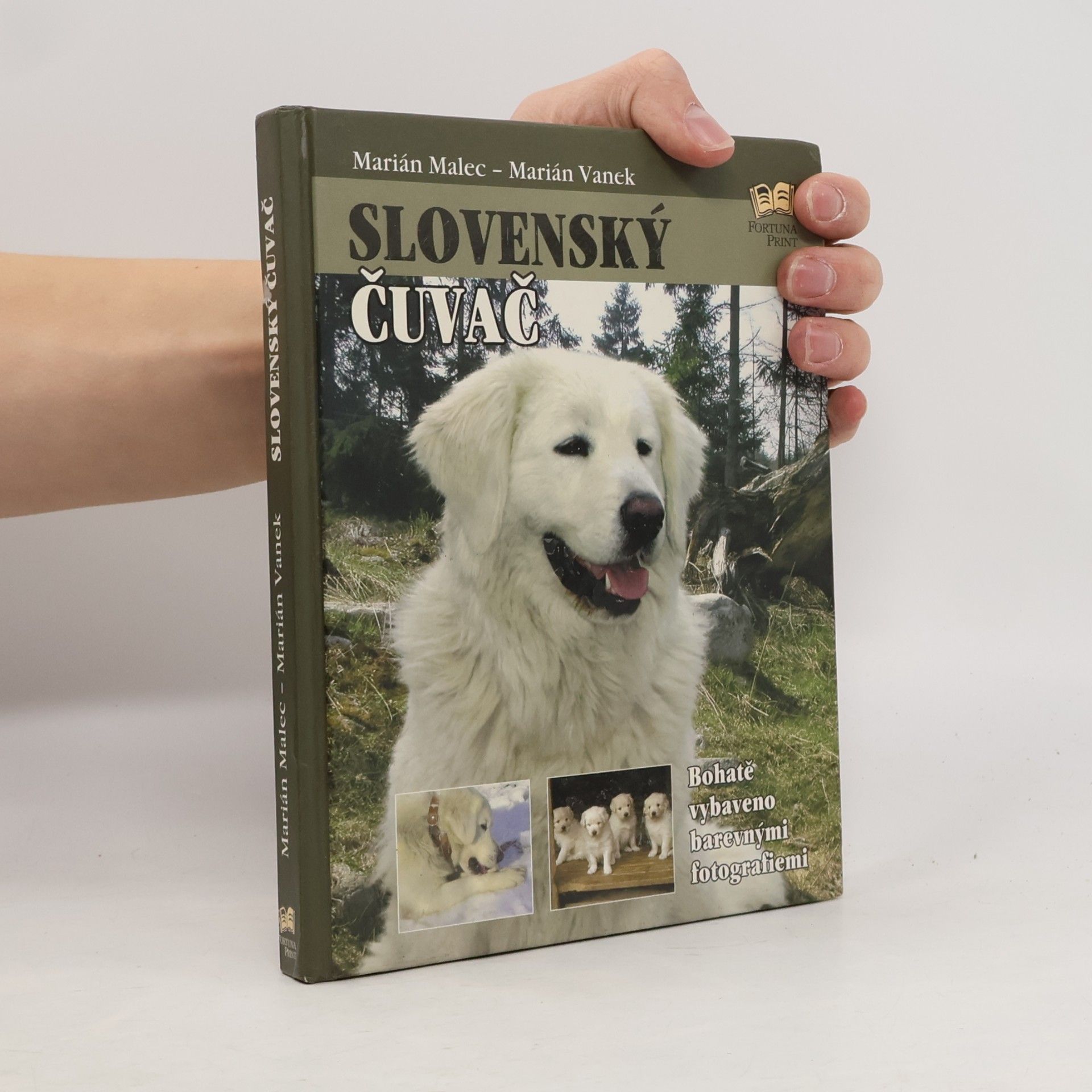 Slovenský čuvač