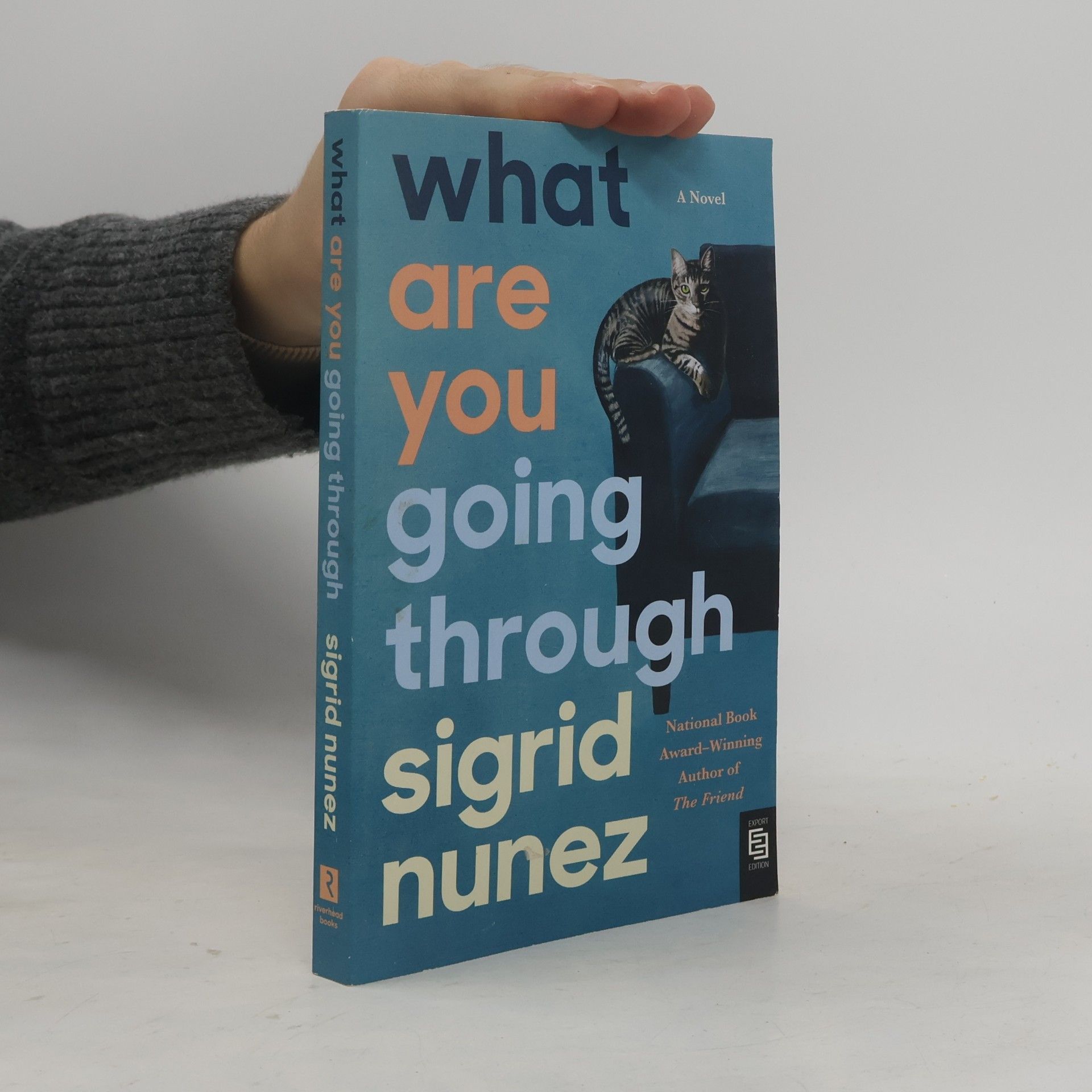 Sigrid Nunez What Are You Going Through