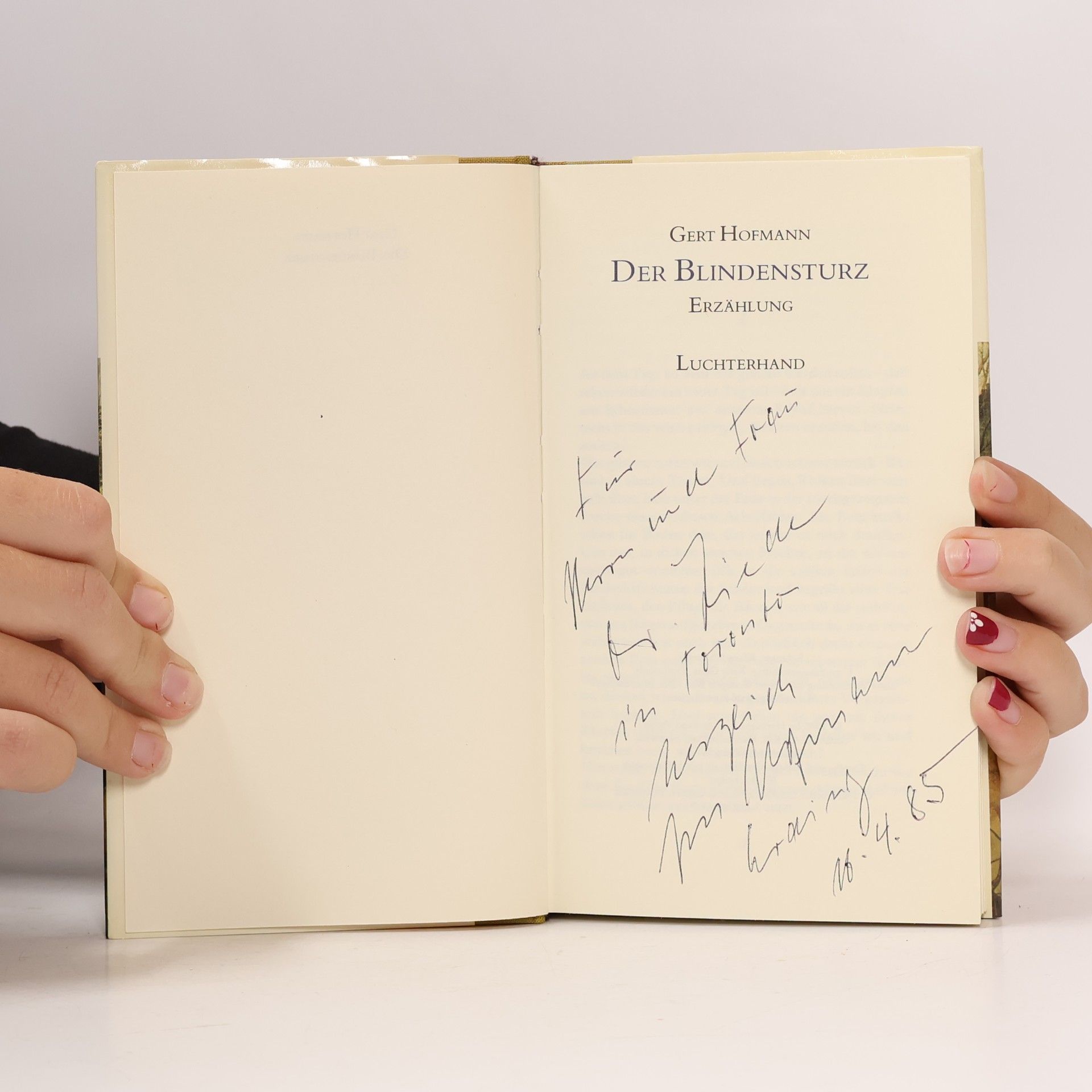 Gert Hofmann Der Blindensturz