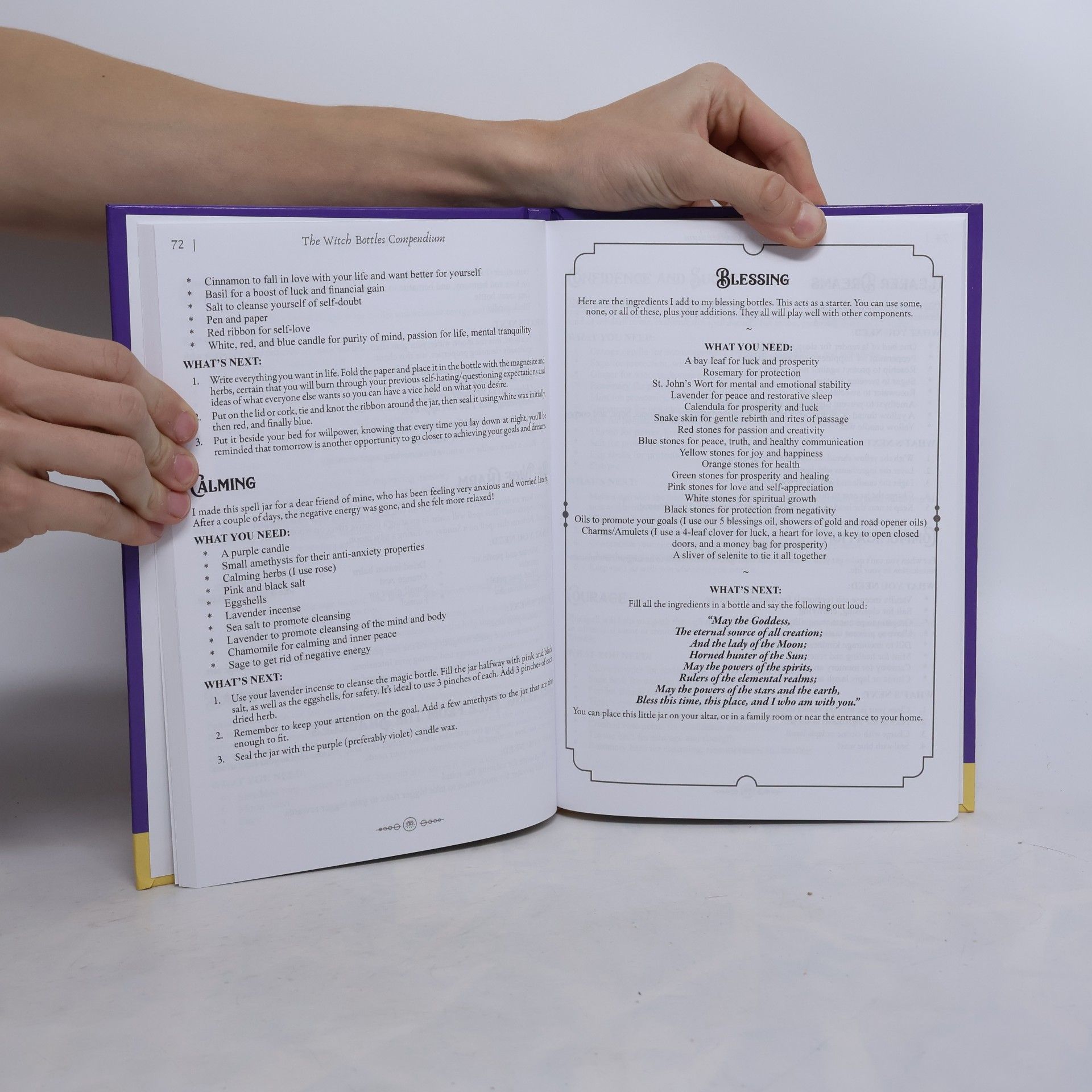 Phoebe D. Anderson The Witch Bottles Compendium