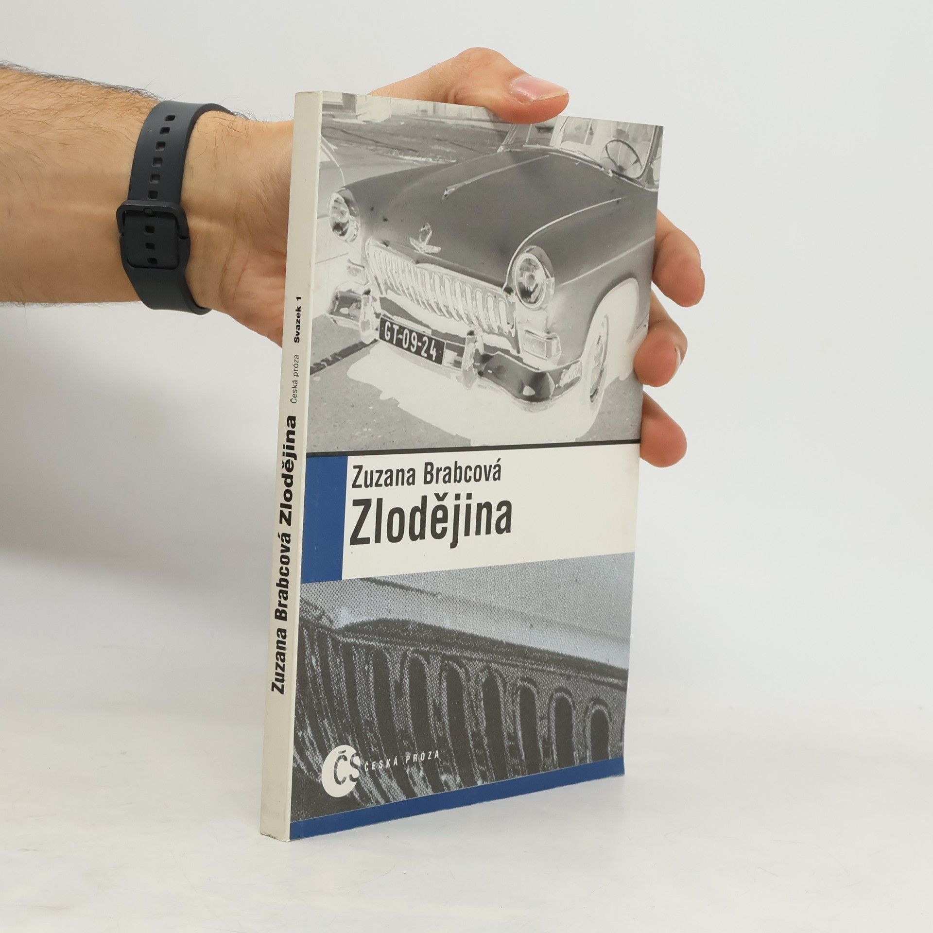 Zlodějina
