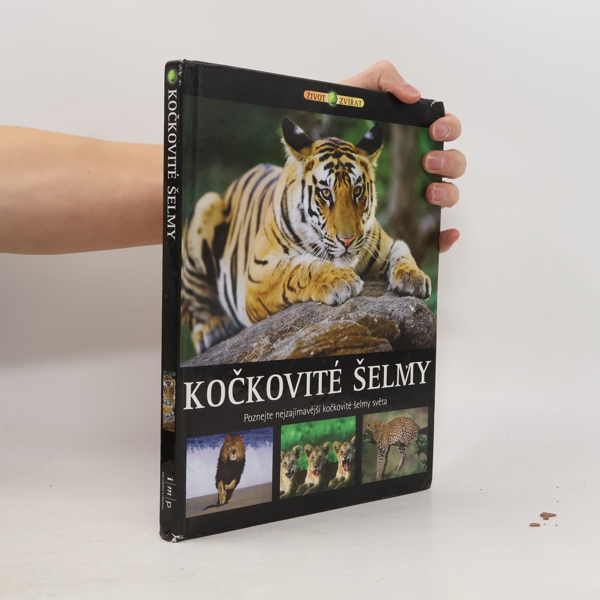 Vladimír Motyčka Kočkovité šelmy