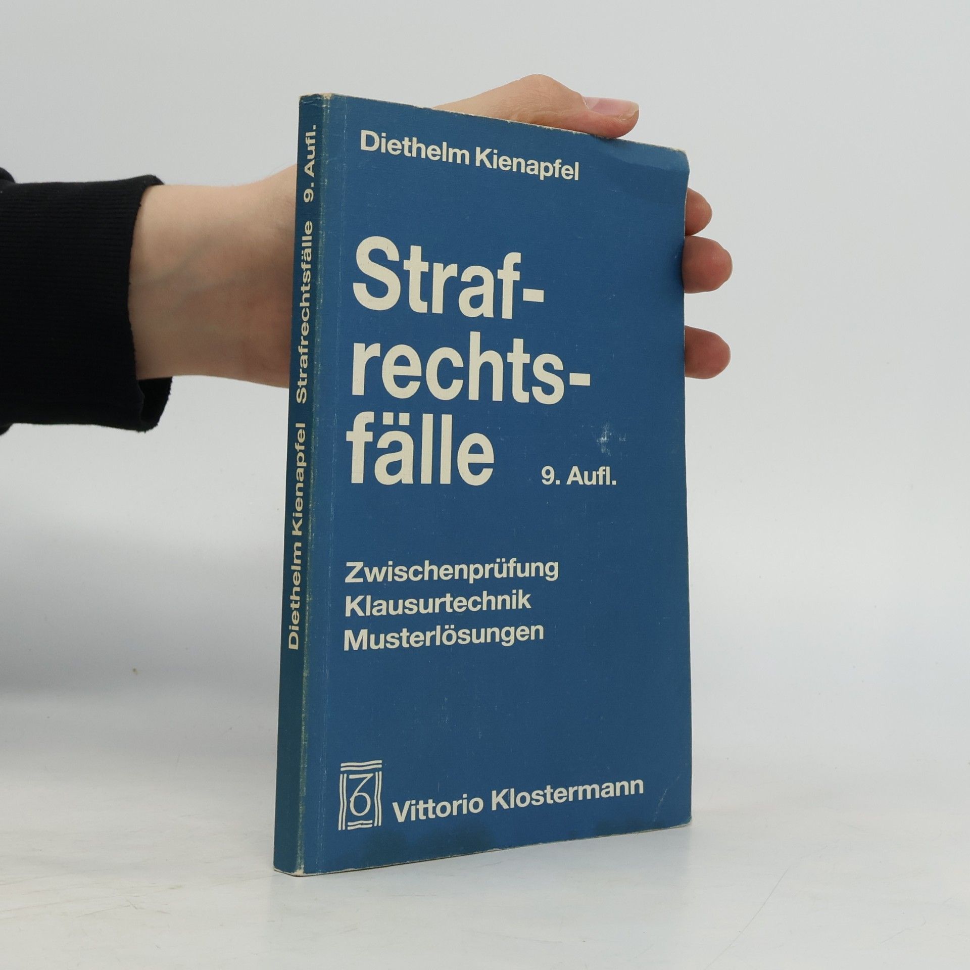 Diethelm Kienapfel Strafrechtsfälle