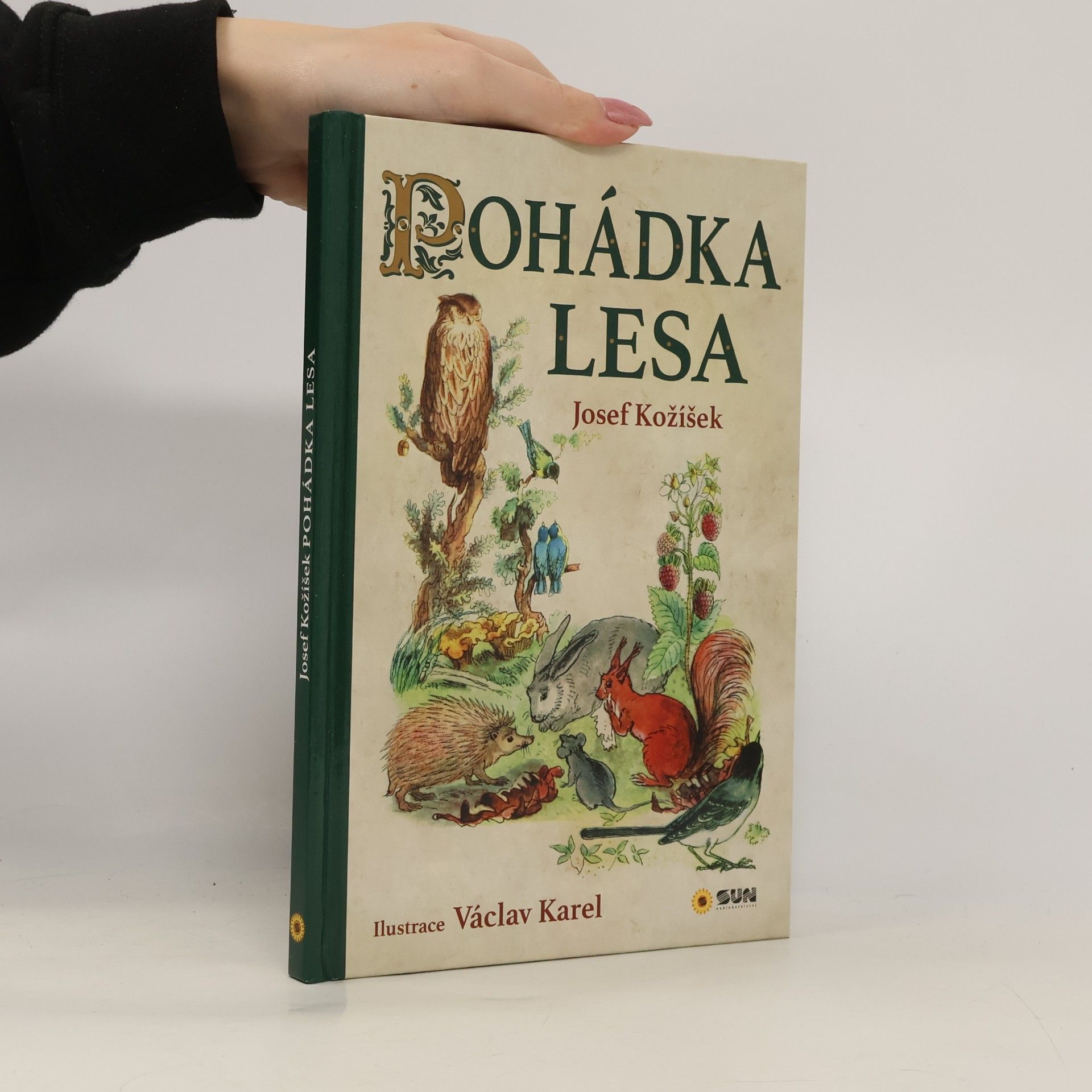 Autorenkollektiv Pohádka lesa