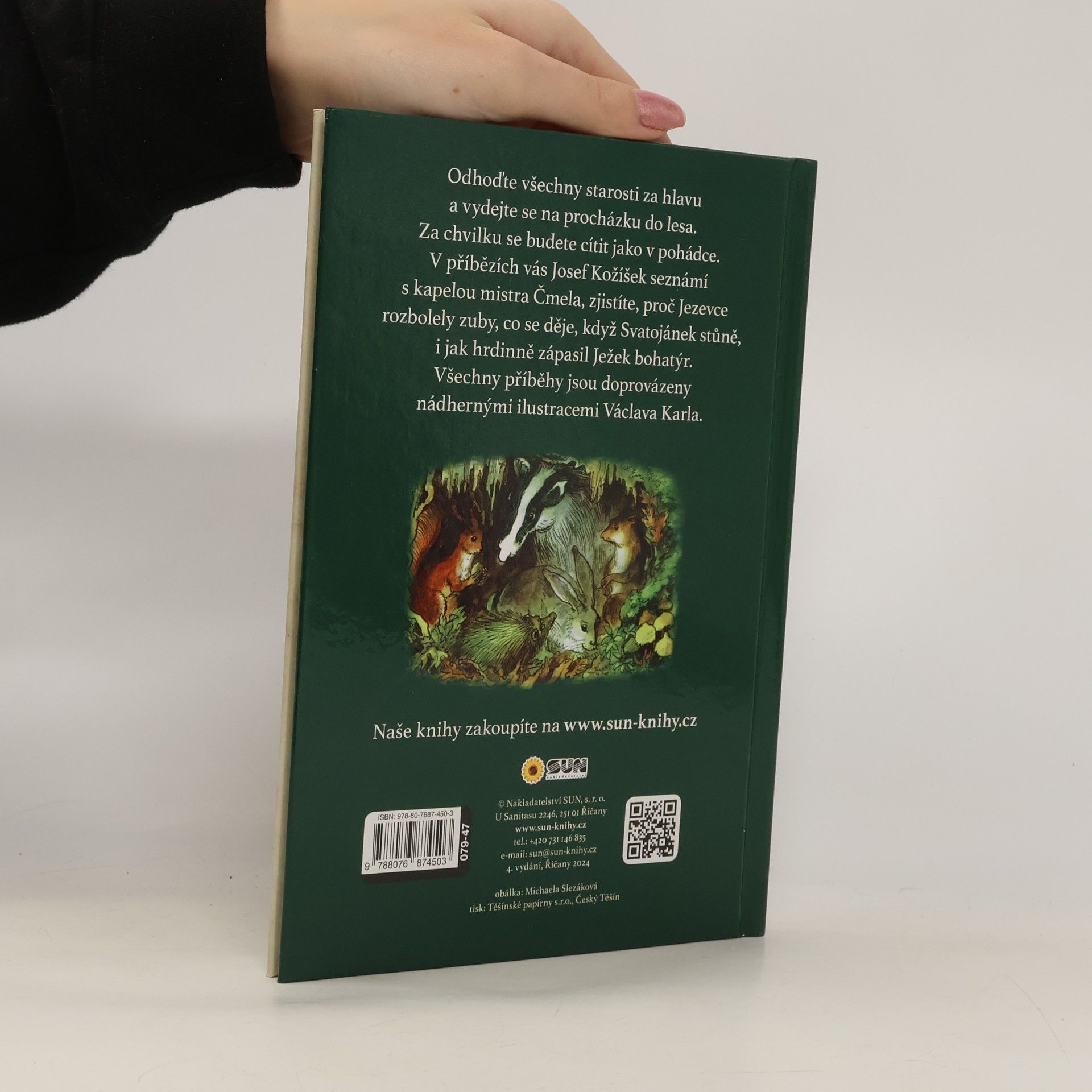 Autorenkollektiv Pohádka lesa