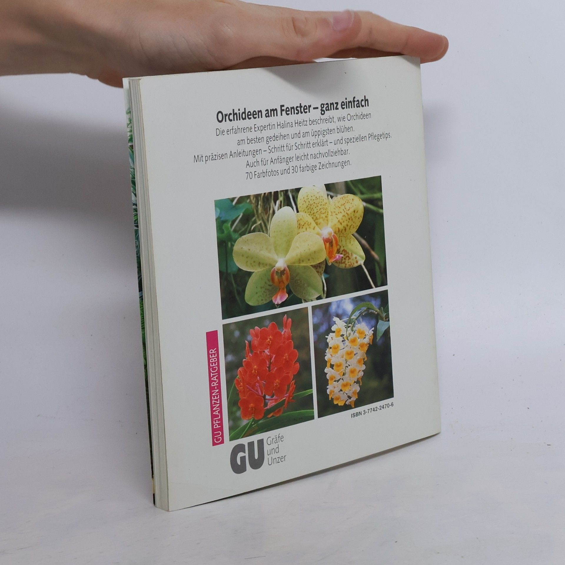 Halina Heitz Orchideen