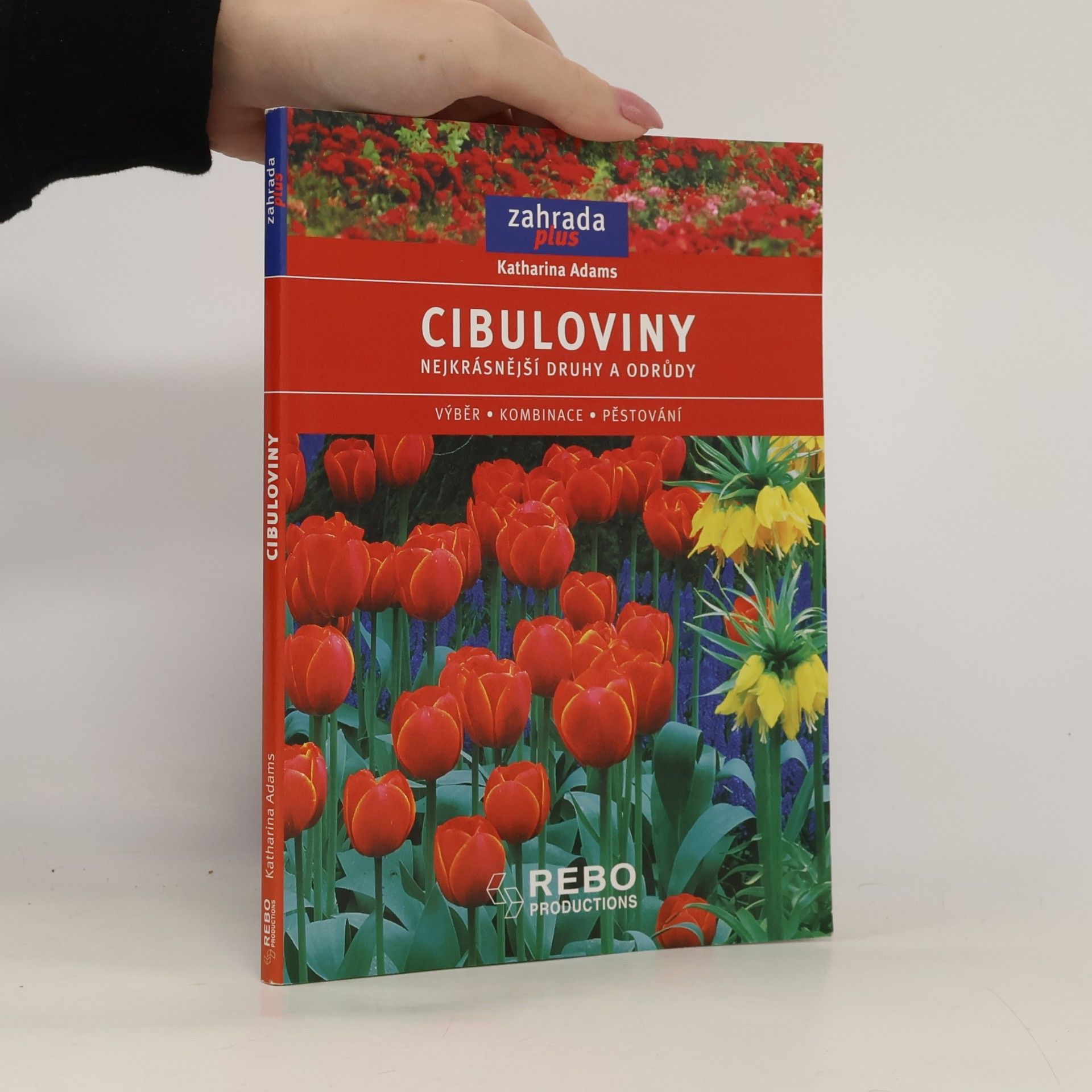 Cibuloviny - nejkrásnější druhy a odrůdy